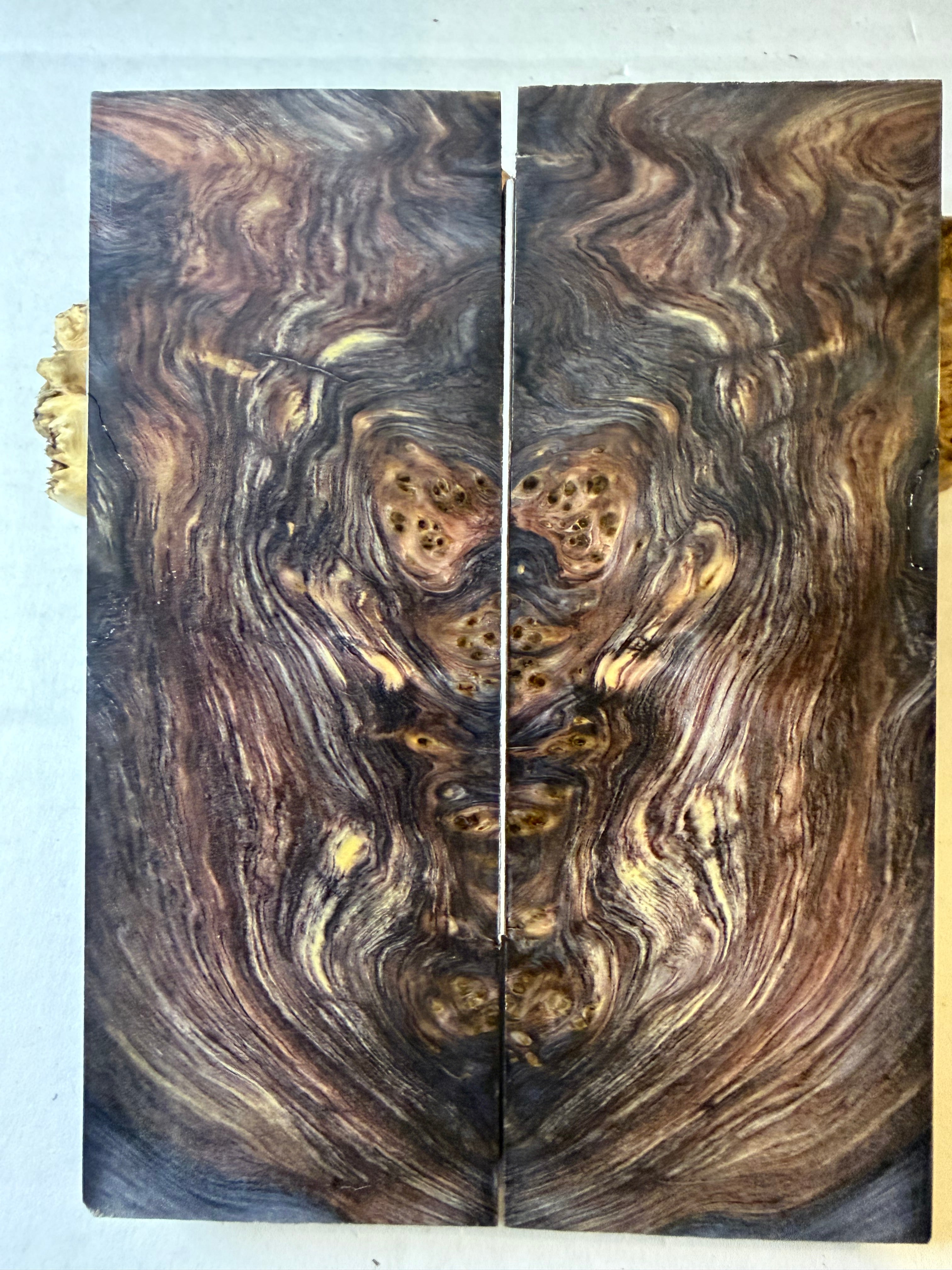 Yellow Cedar Burl | #0604