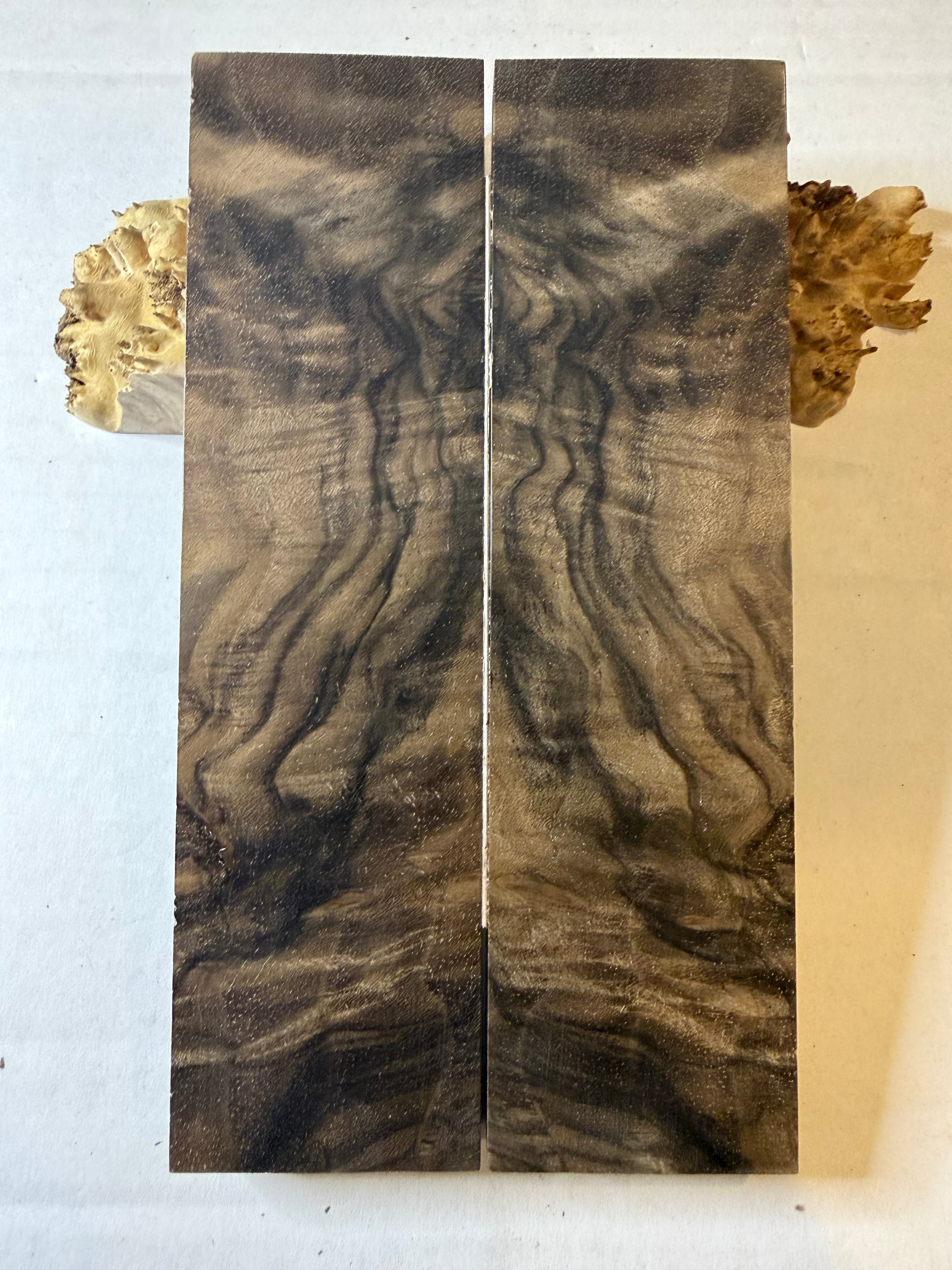 Turkish Walnut | #0616