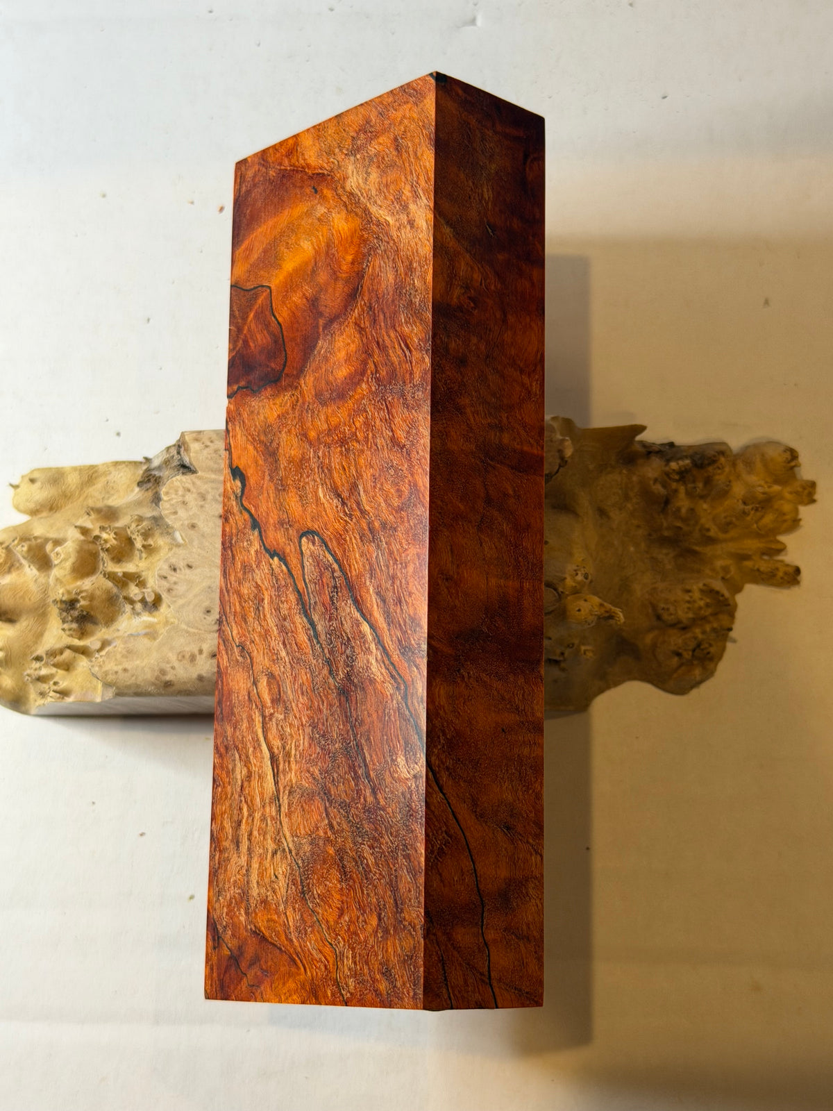 Maple | #0638