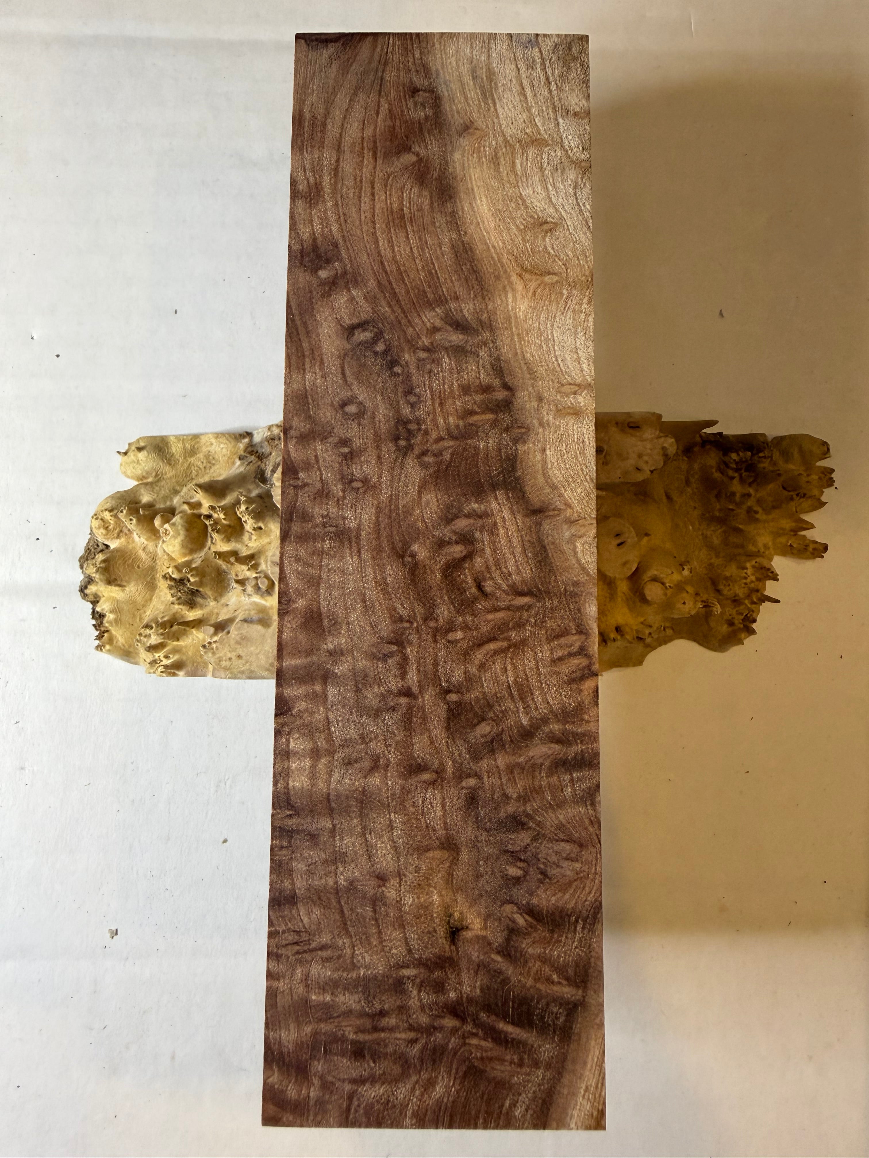 Redwood | #0591