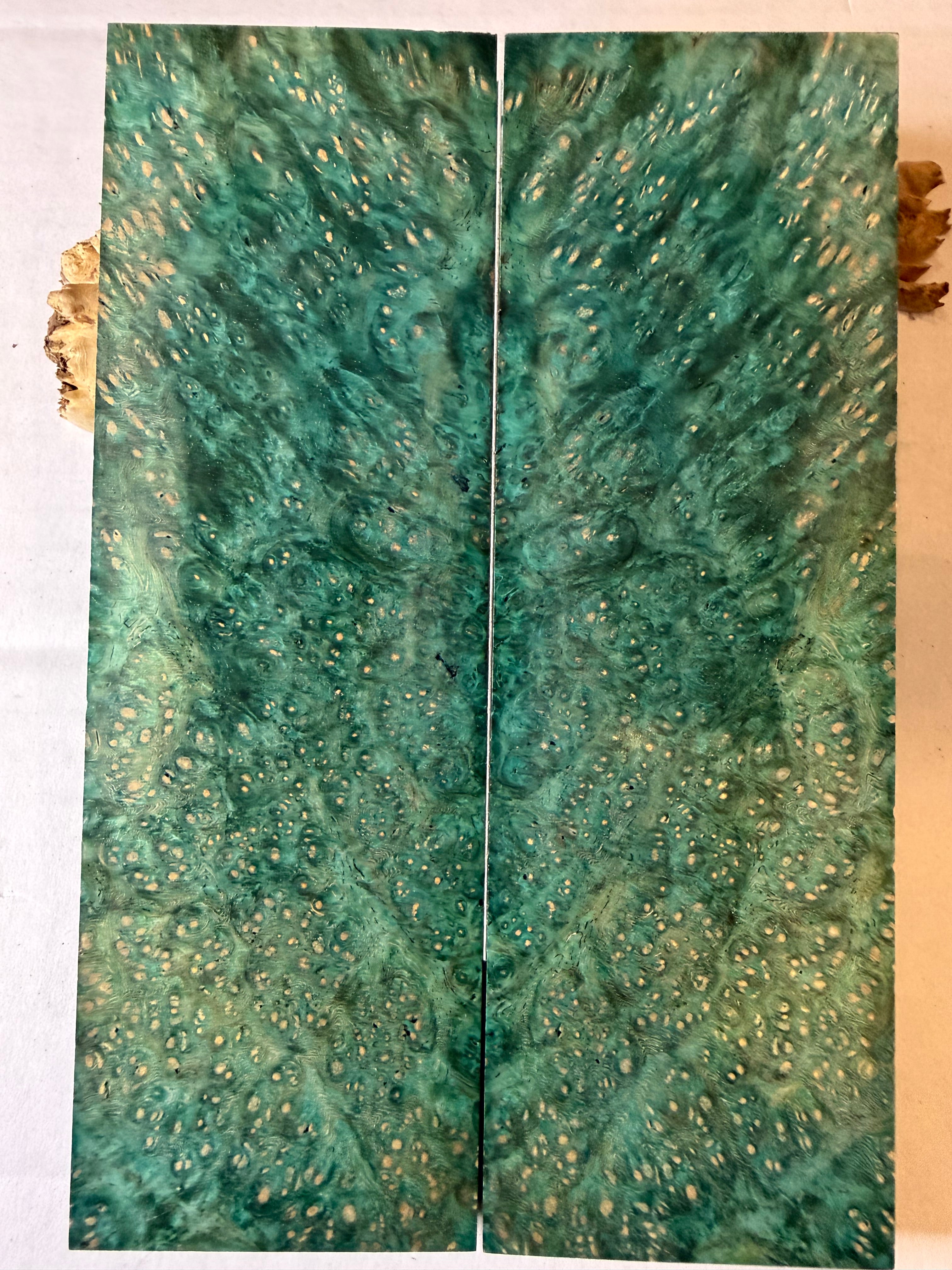 Ambonya Burl | #0570