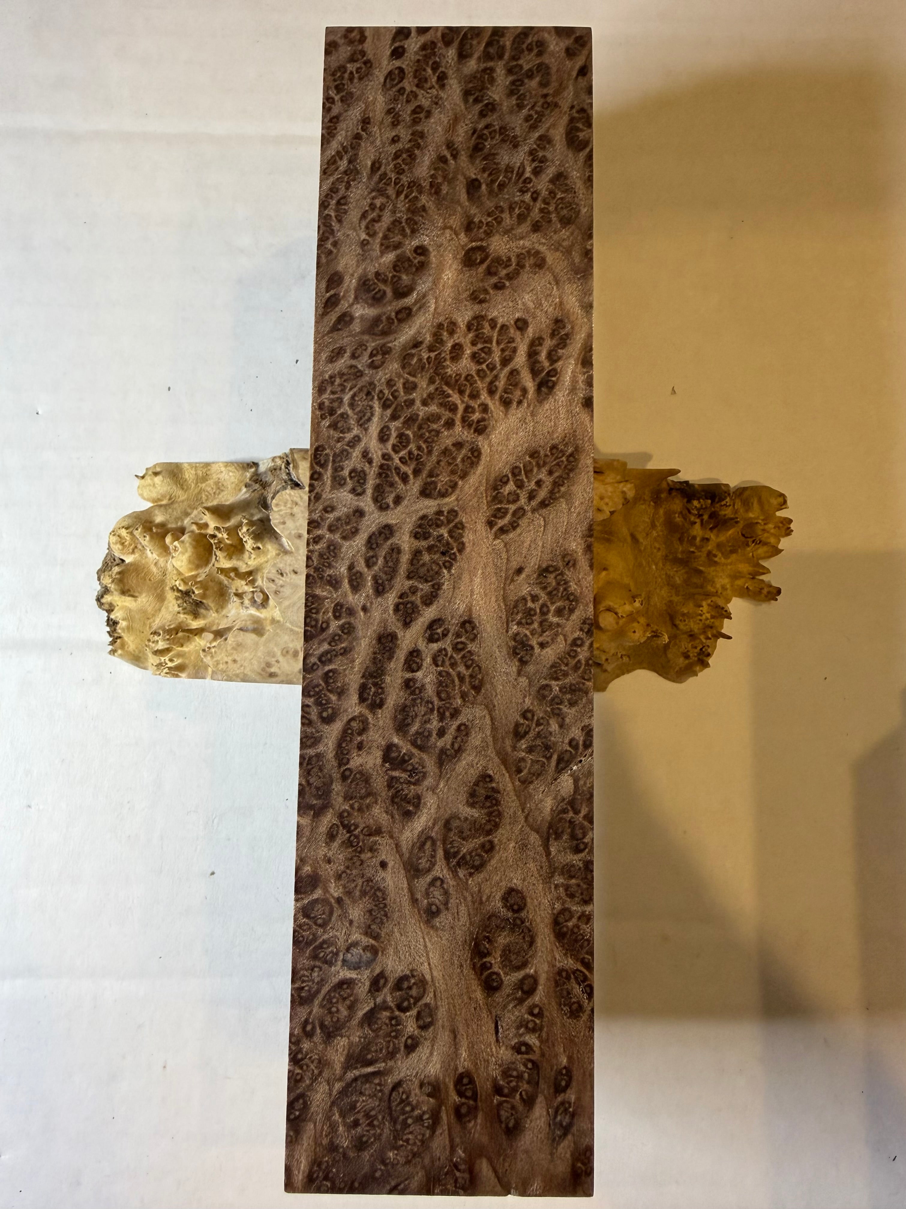 Redwood Burl | #0533