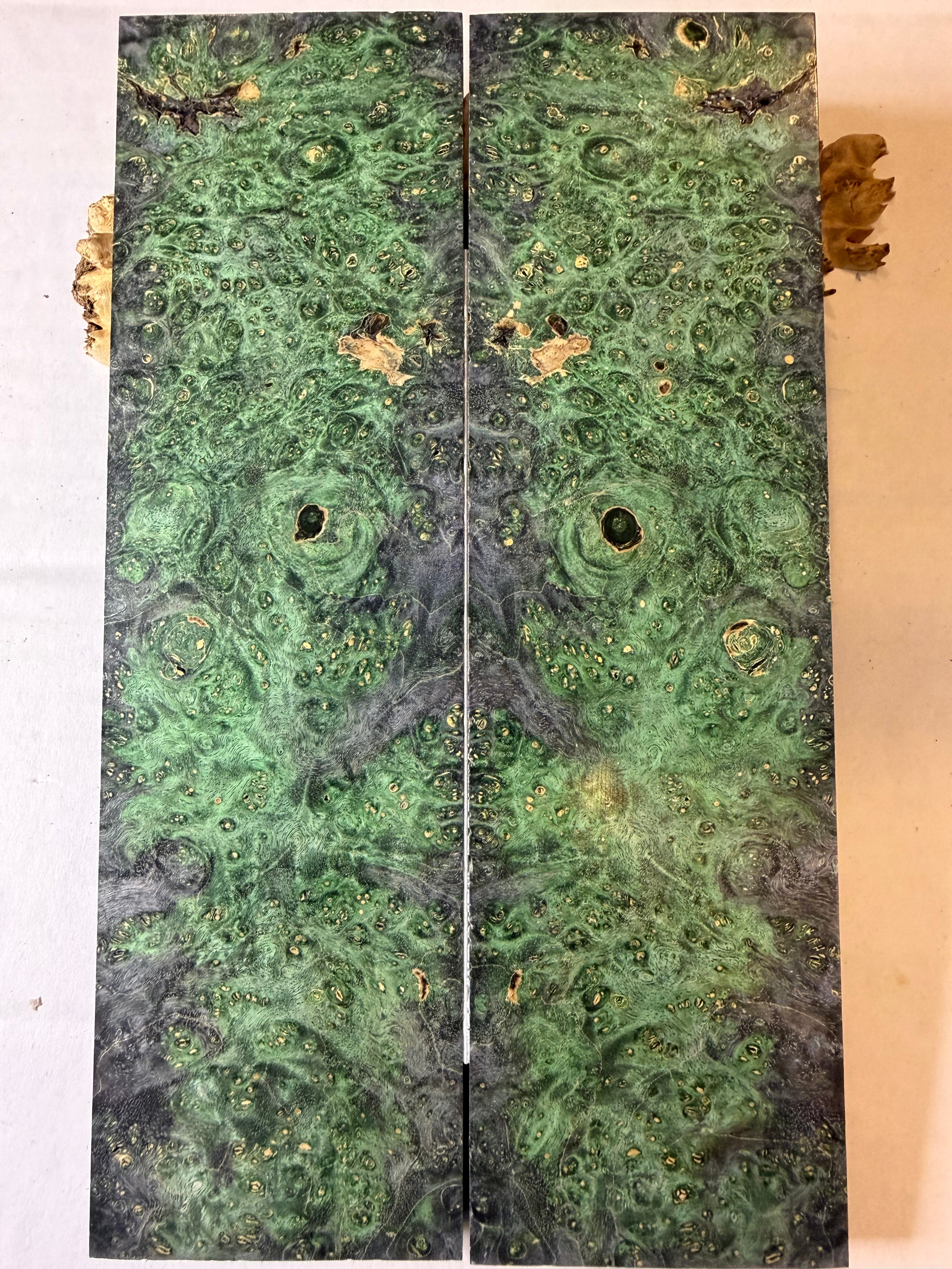 Boxelder Burl | #0571