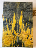 Karelian Birch |#0545