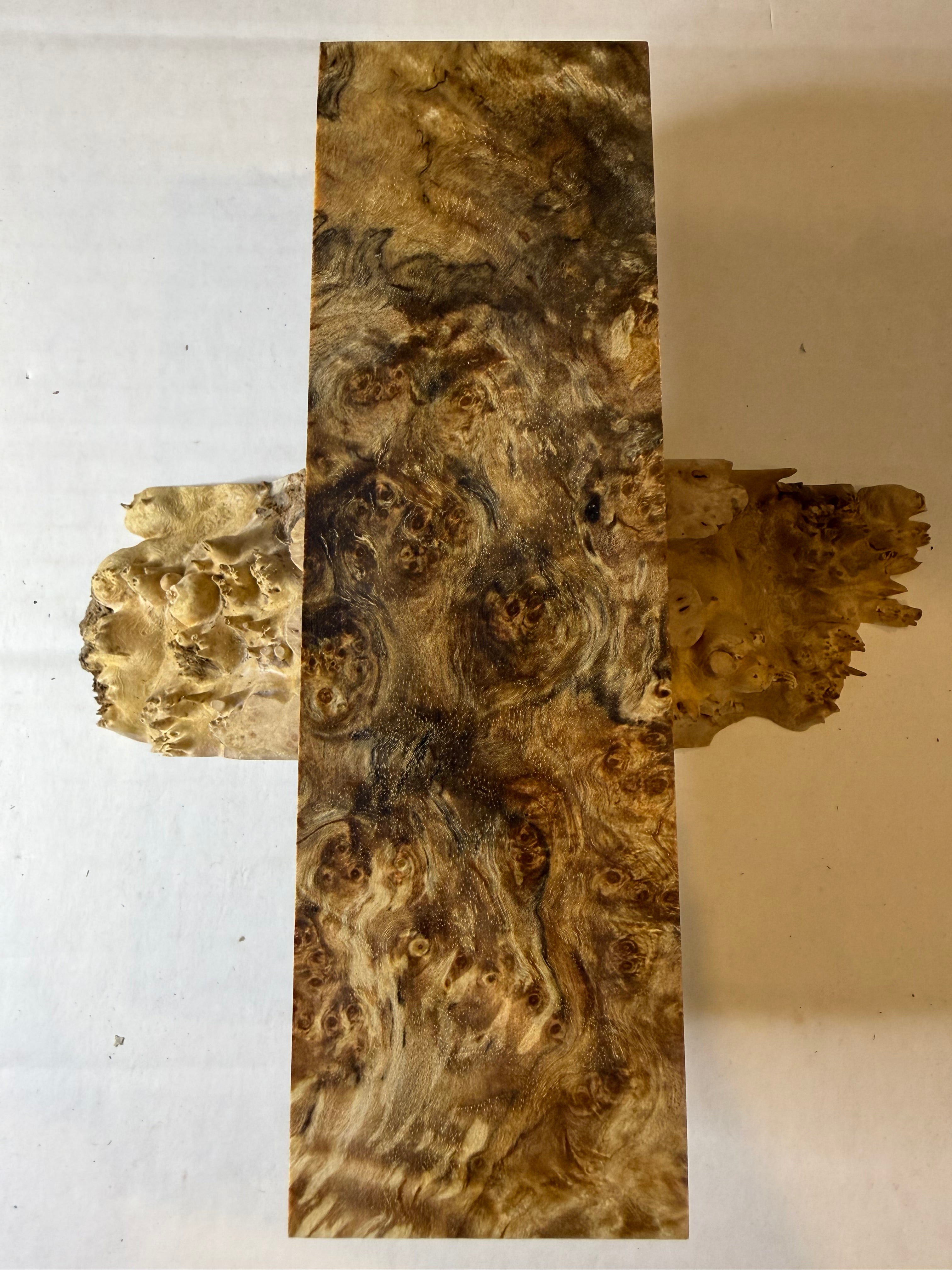 Birch Burl | #0590