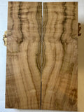 Maple | #0596 Discounted