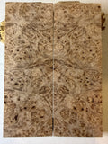 Maple Burl | #0557