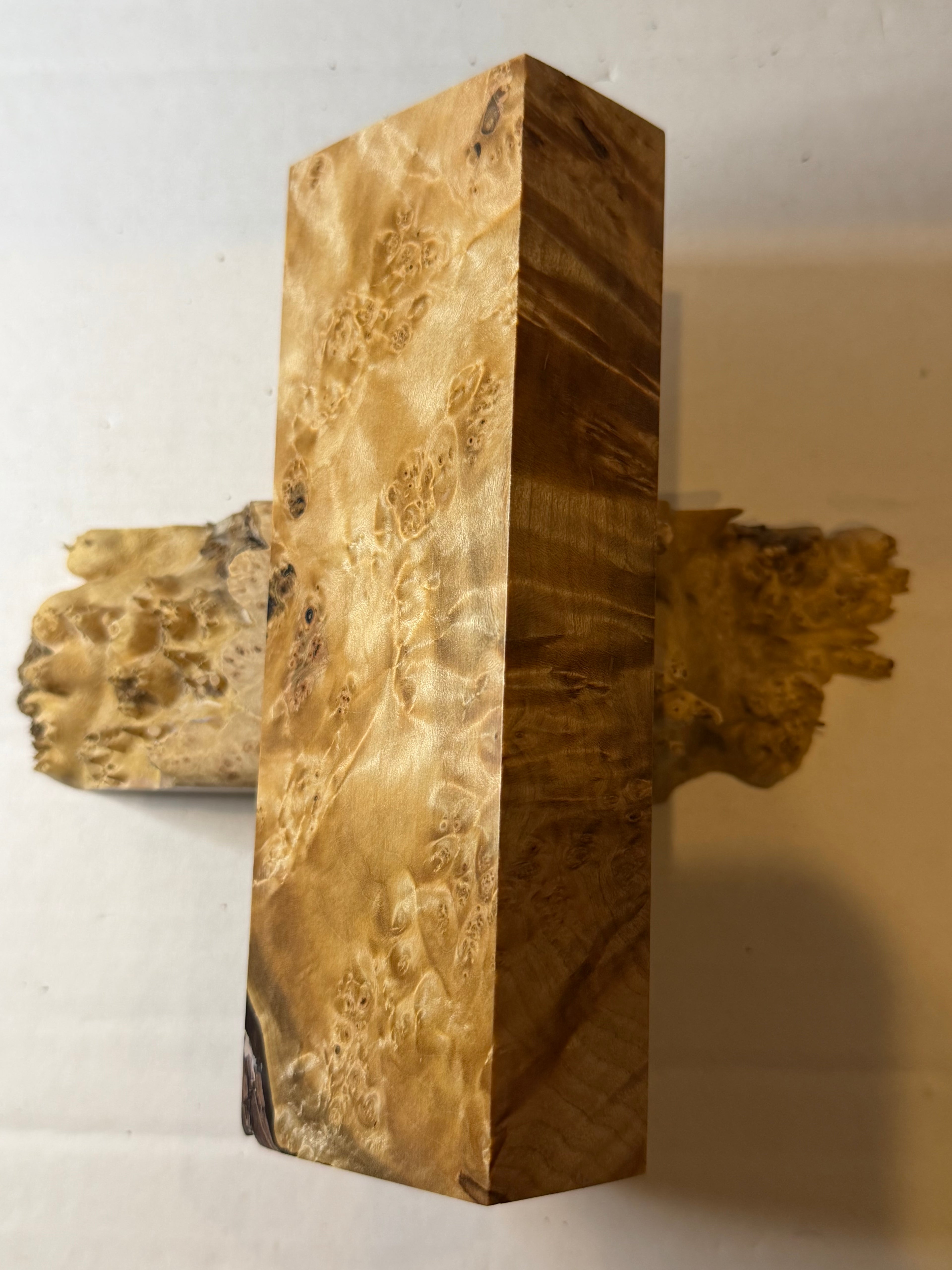 Maple | #0642
