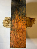 Karelian Birch | #0530