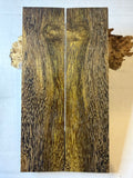 Pheasant Wood | #0610