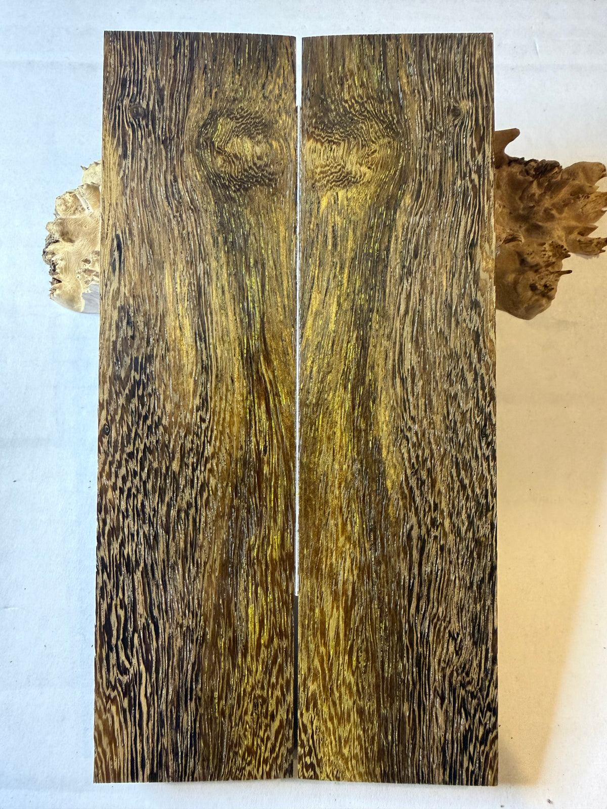 Pheasant Wood | #0610