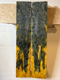 Karelian Birch | #0609