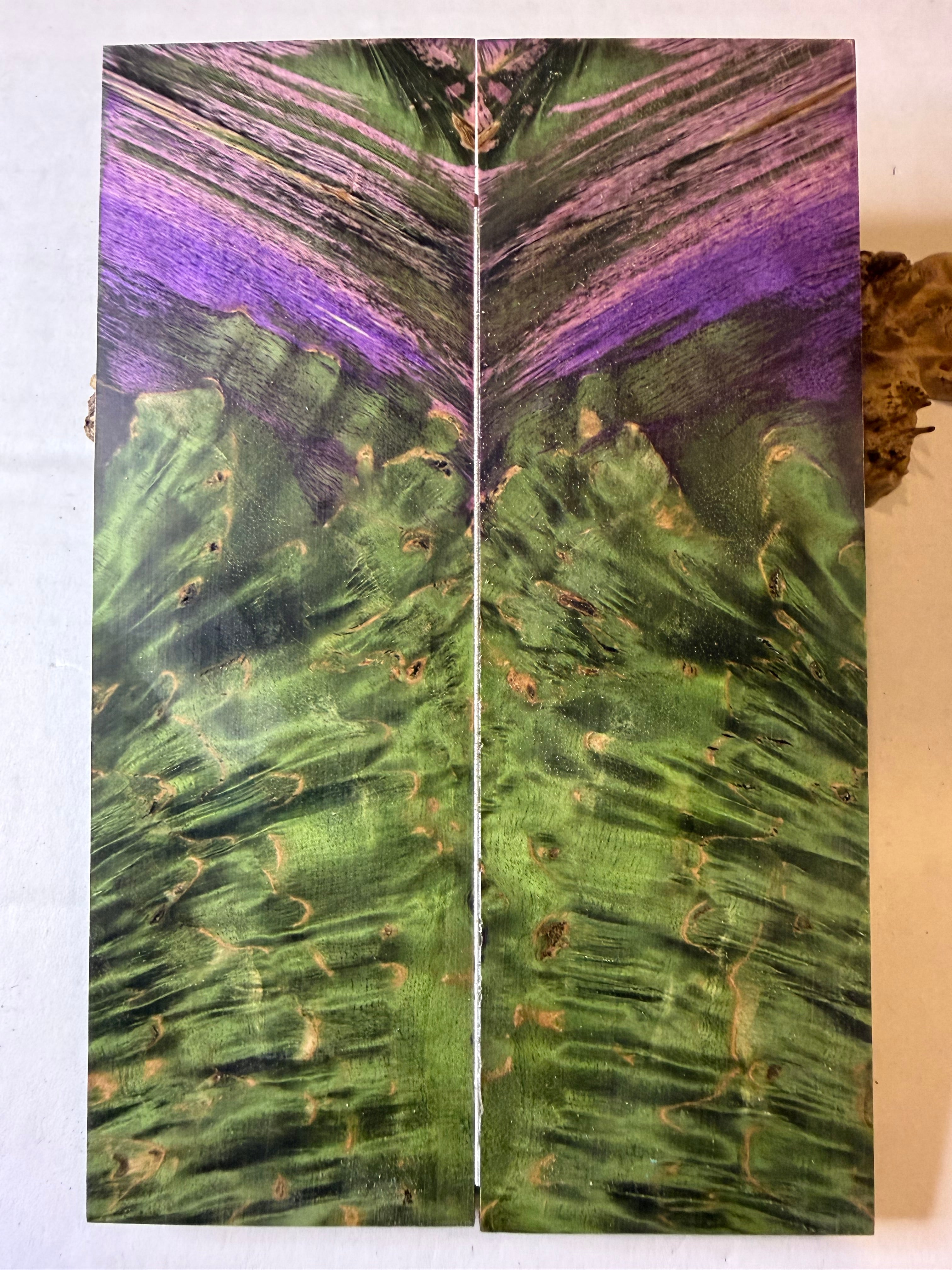 Karelian Birch |#0555