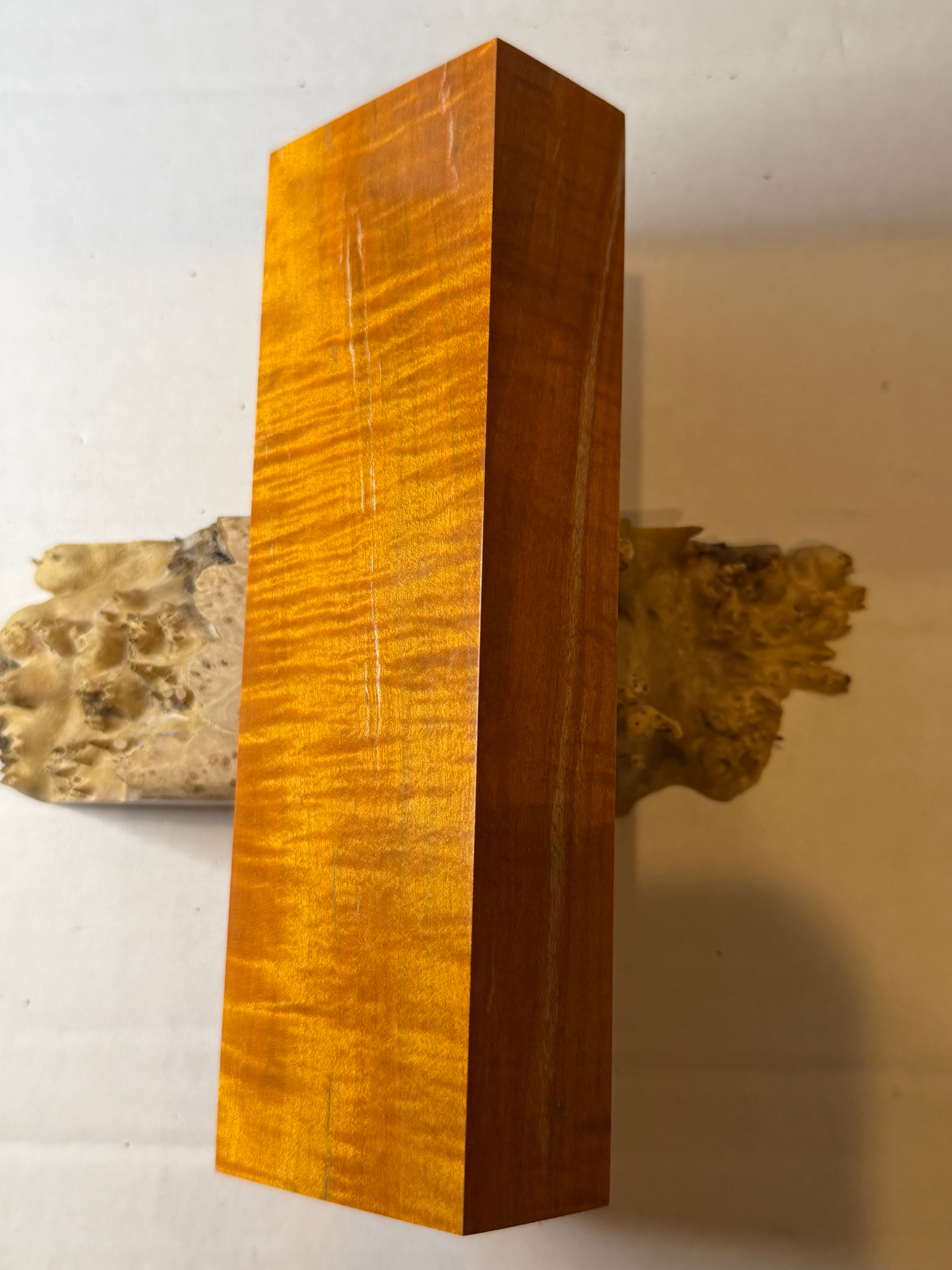 Maple | #0645