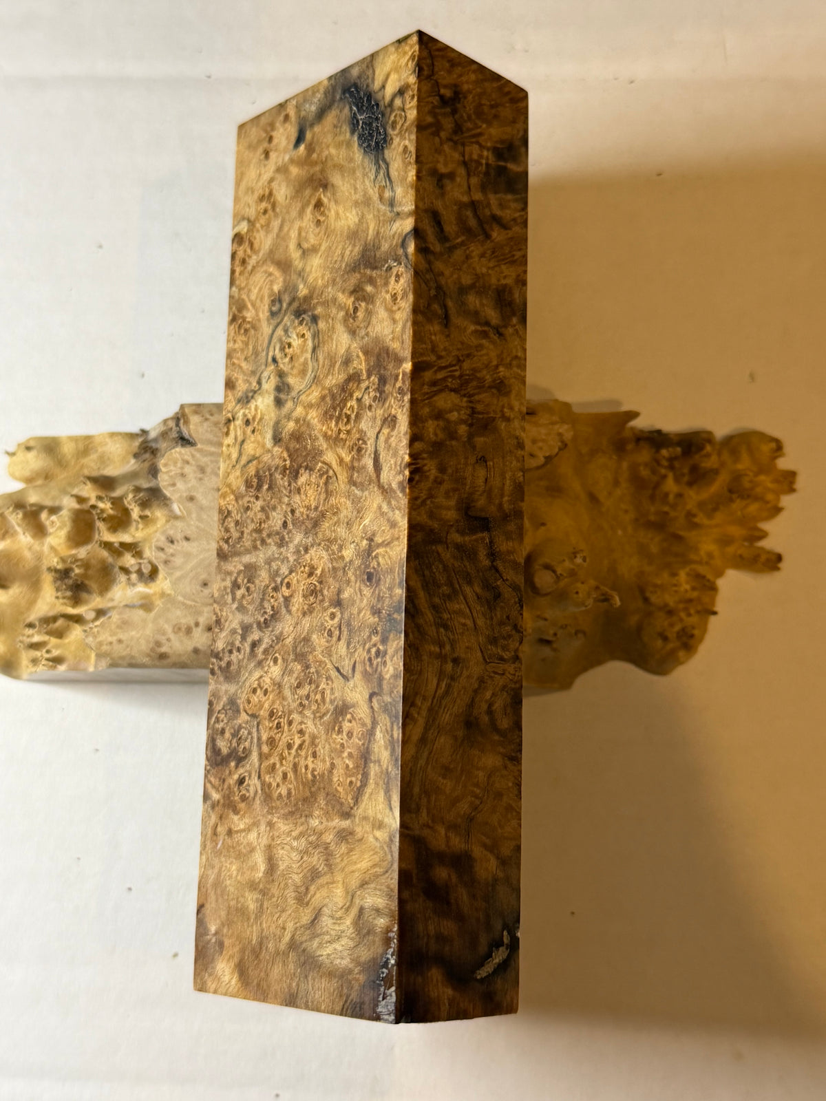 Birch Burl | #0628