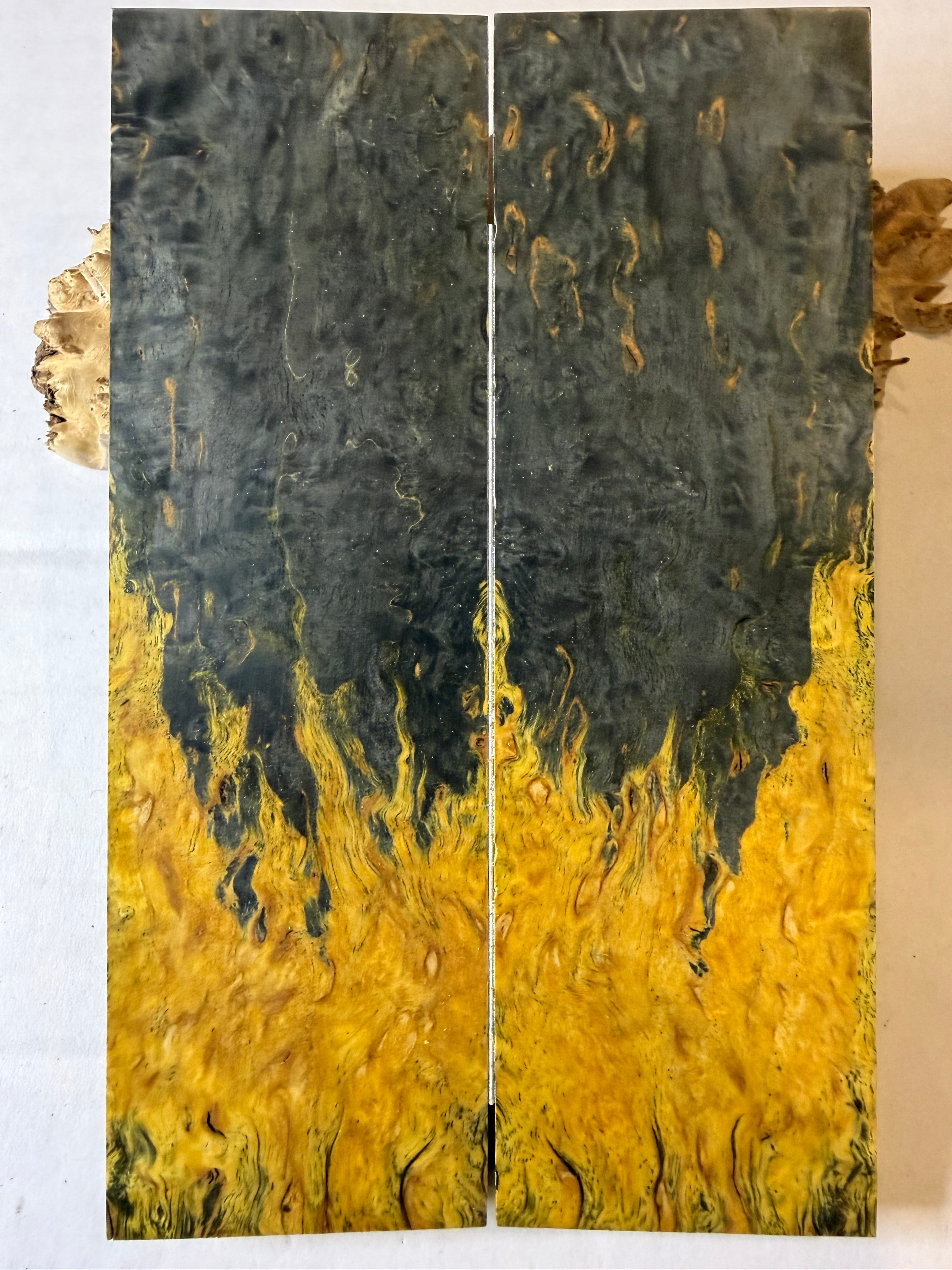 Karelian Birch |#0544