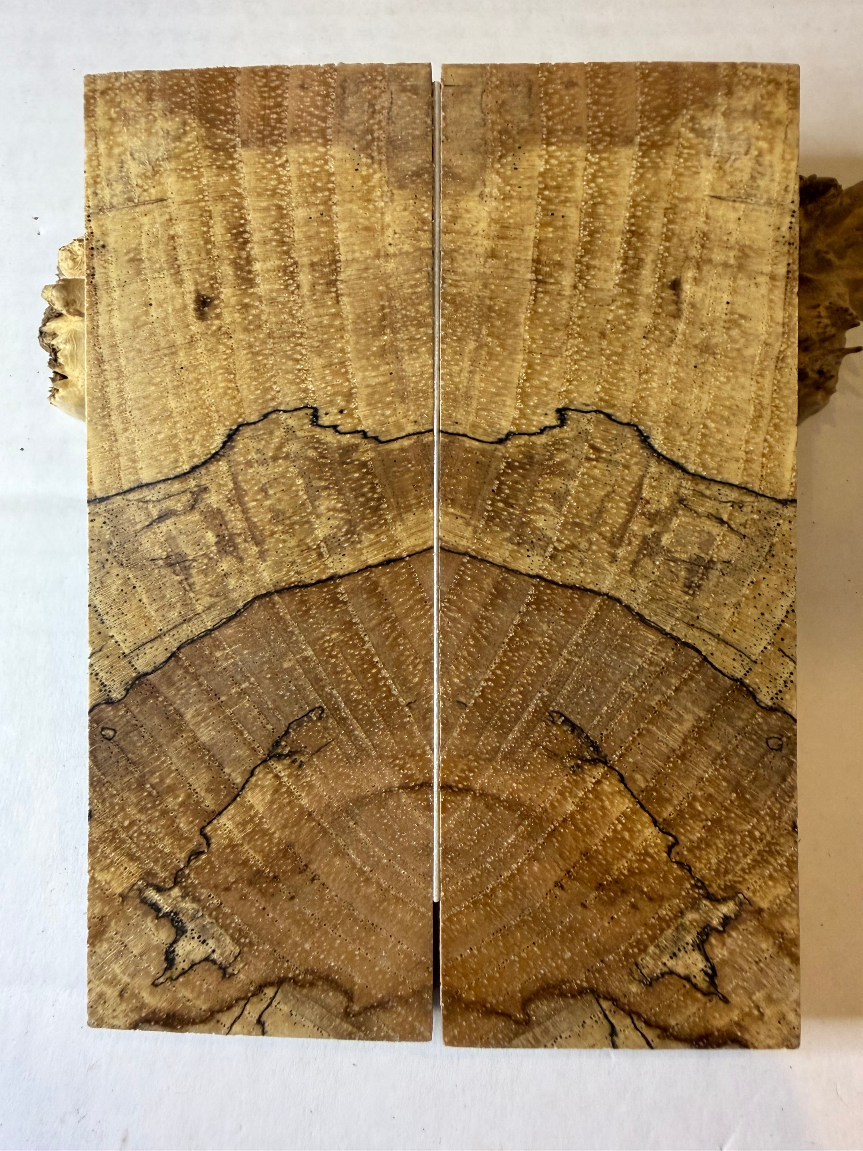 Pecan | #0575