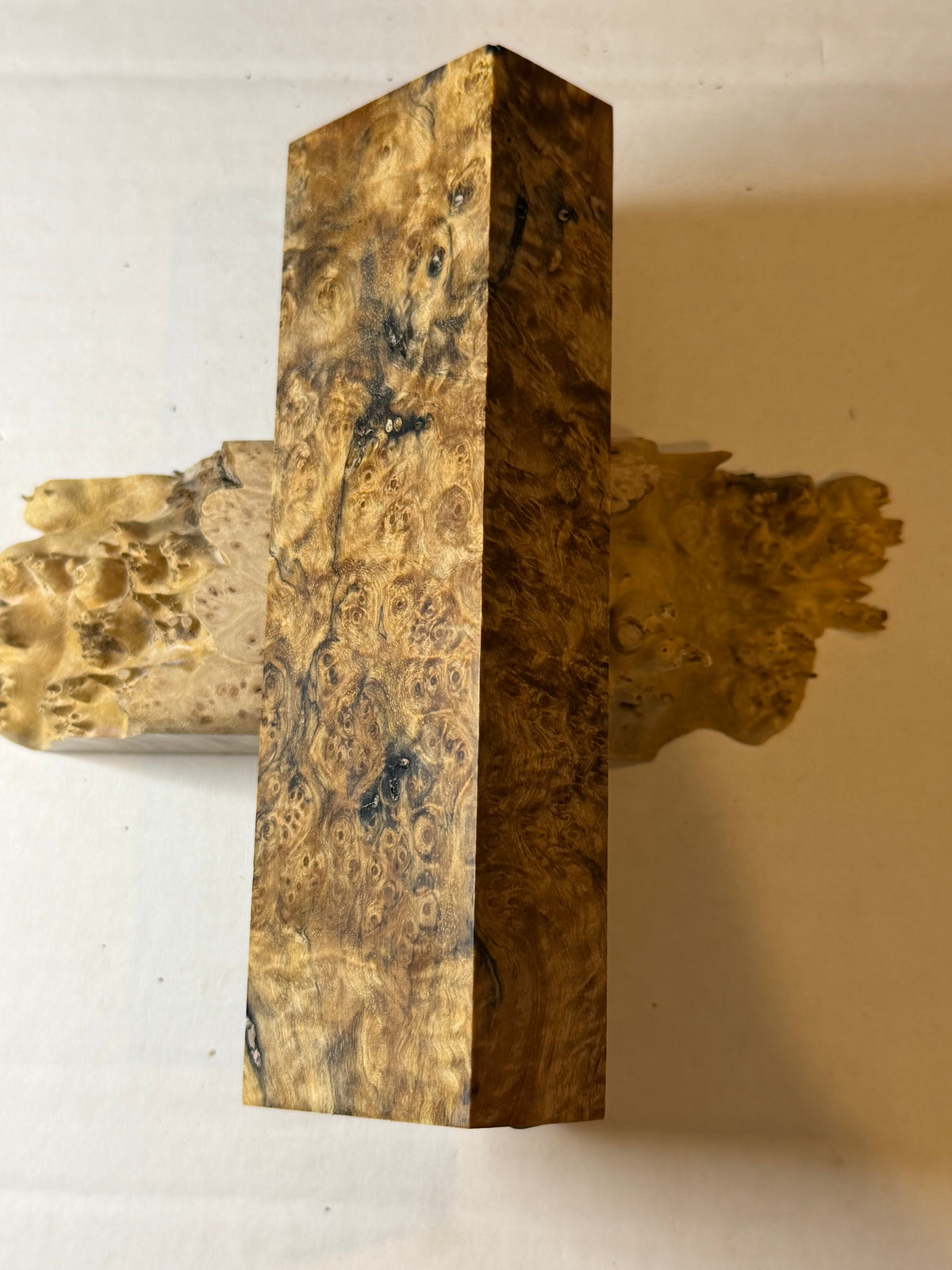 Birch Burl | #0628