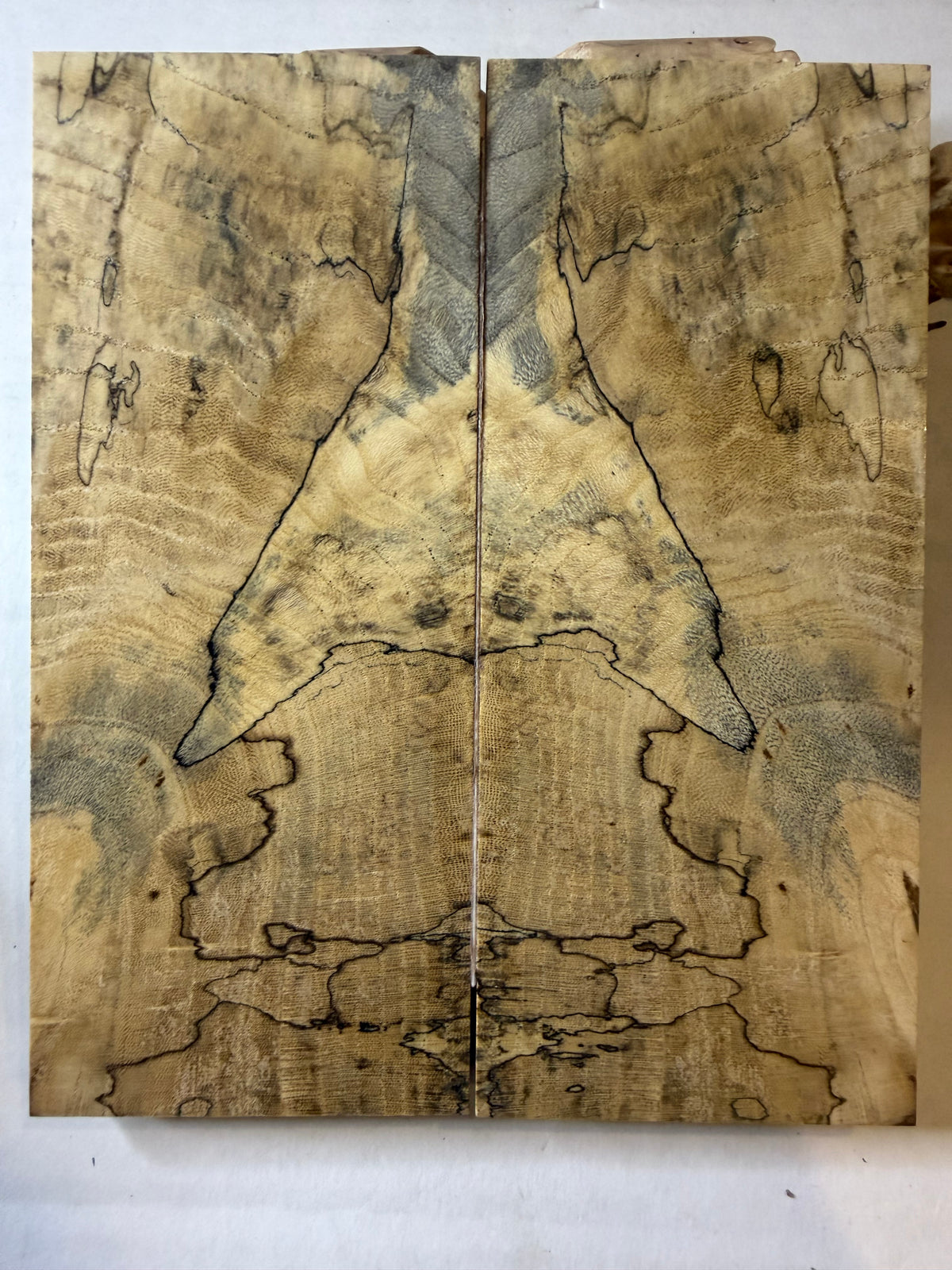 Hackberry | #0607