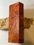 Maple | #0638