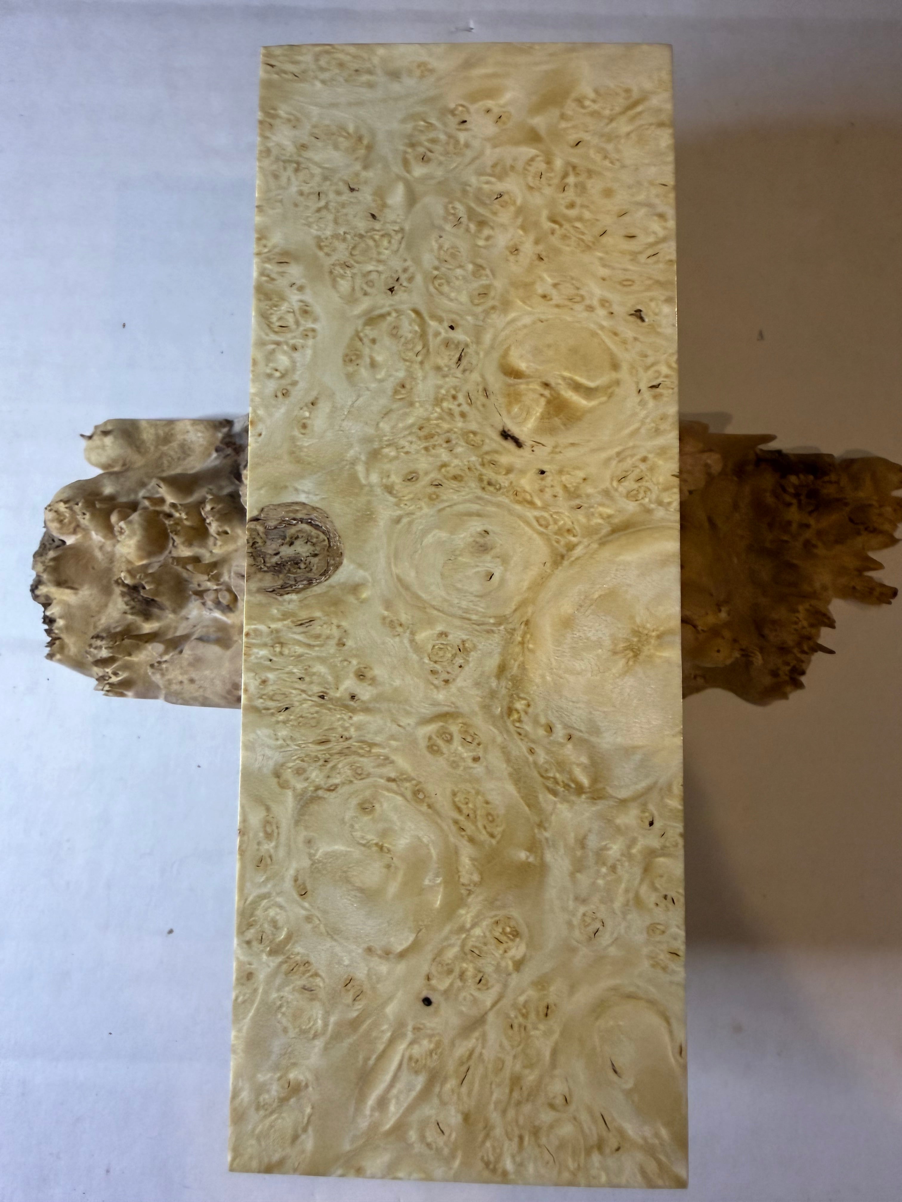 Boxelder Burl | #0539