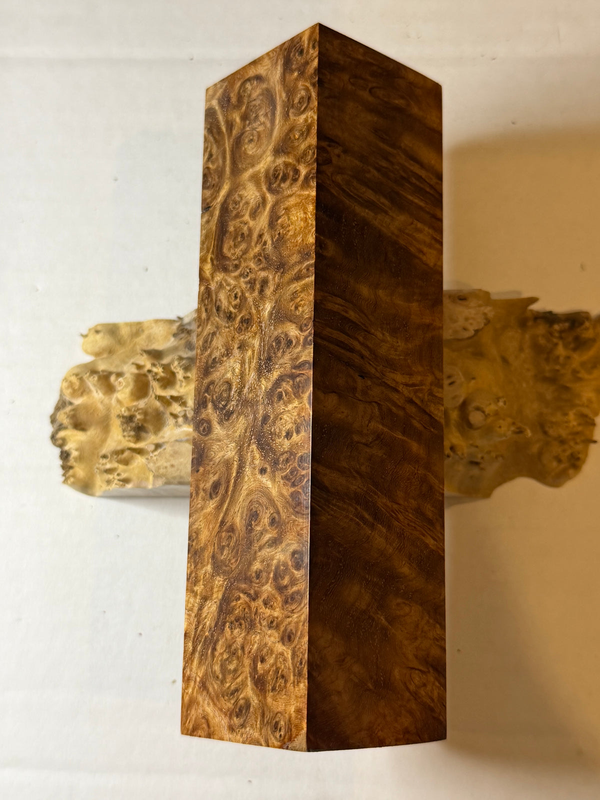 Ambonya Burl | #0631