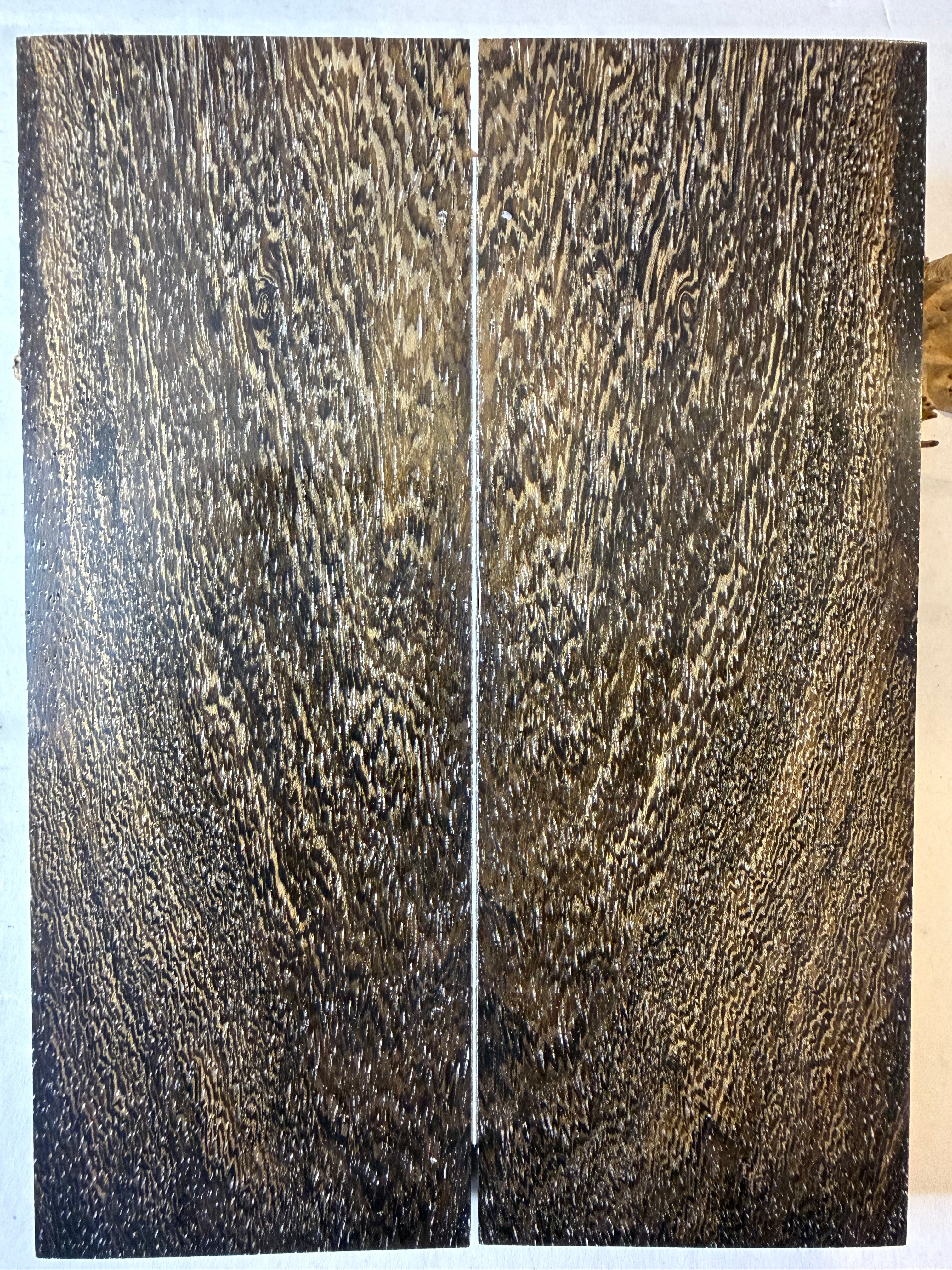 Pheasant Wood | #0556