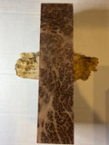 Redwood Burl | #0533