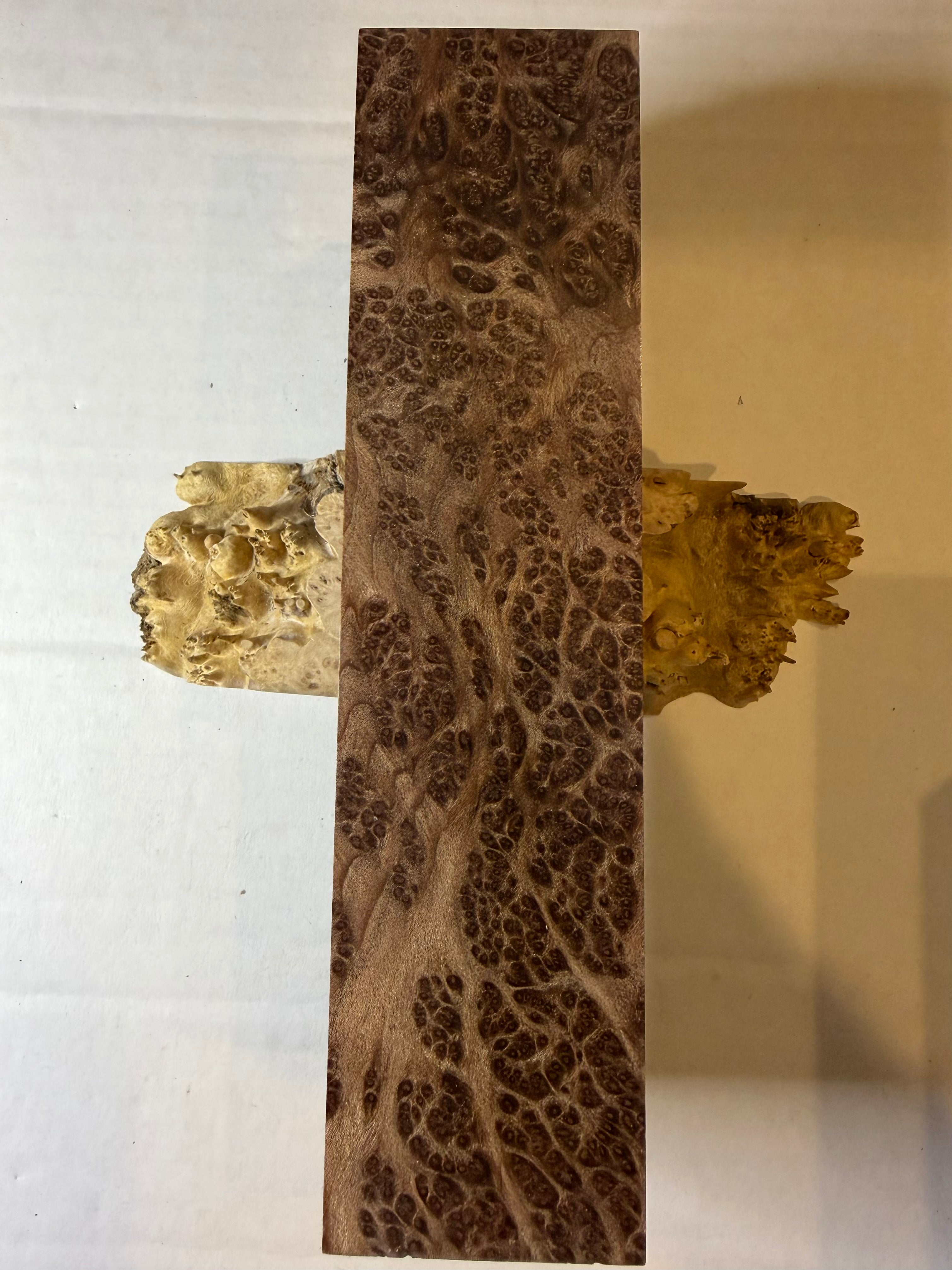 Redwood Burl | #0533