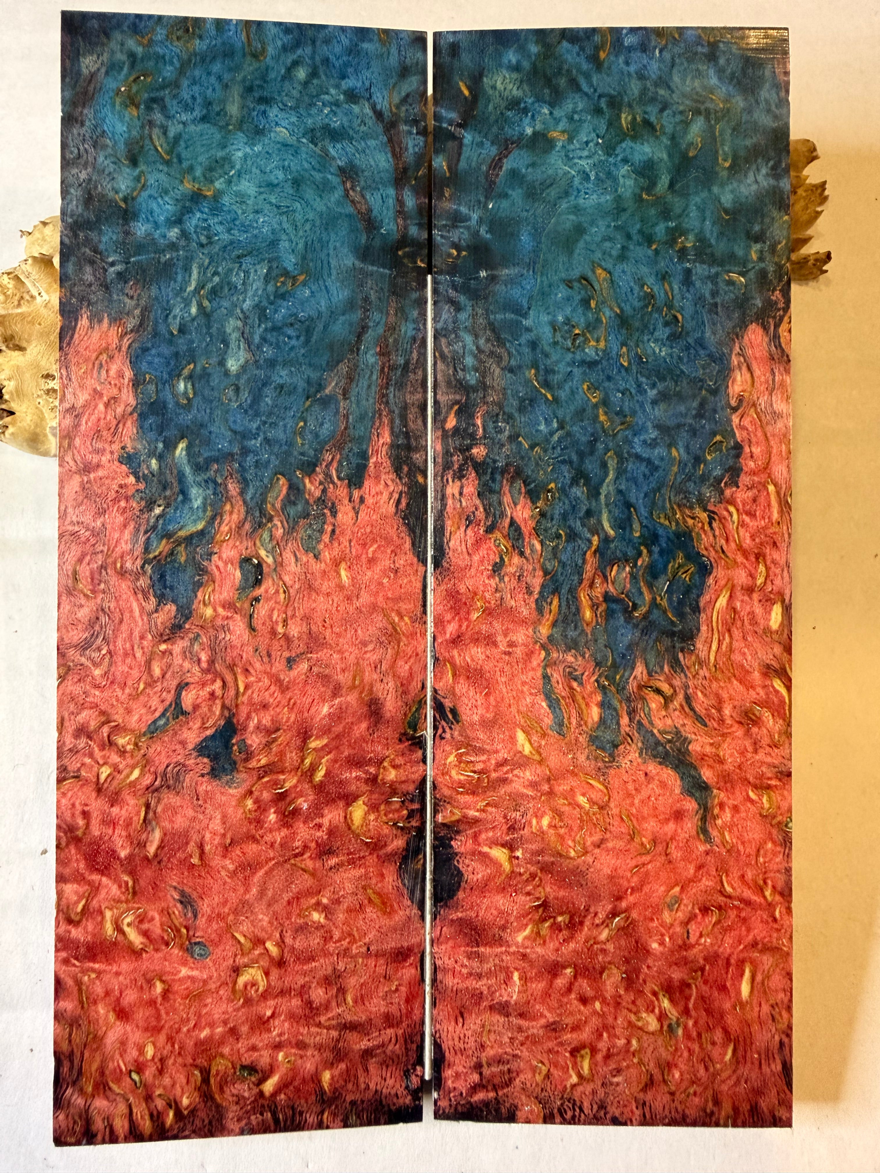 Karelian Birch |#0542