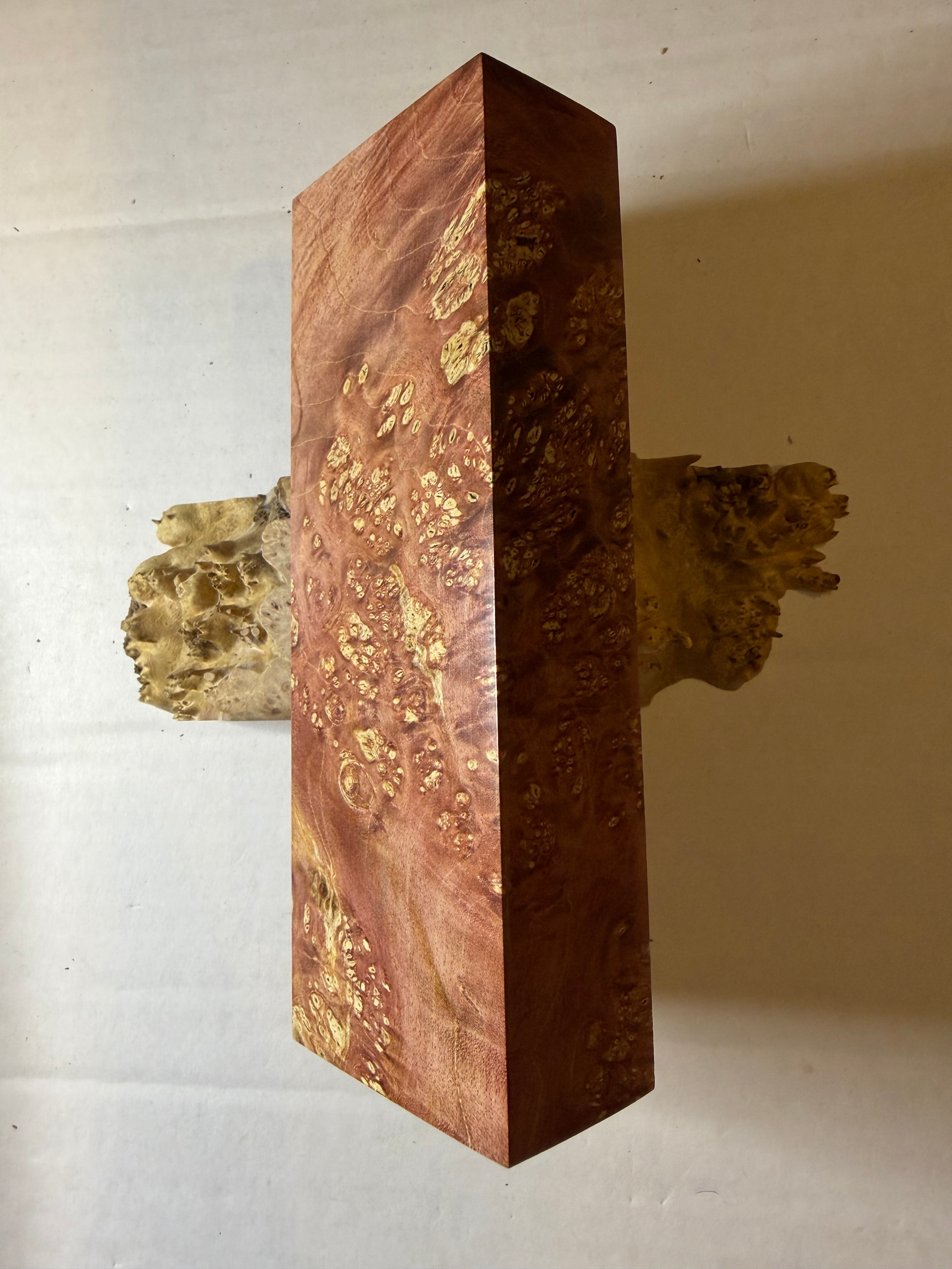 Boxelder Burl | #0622 Discounted