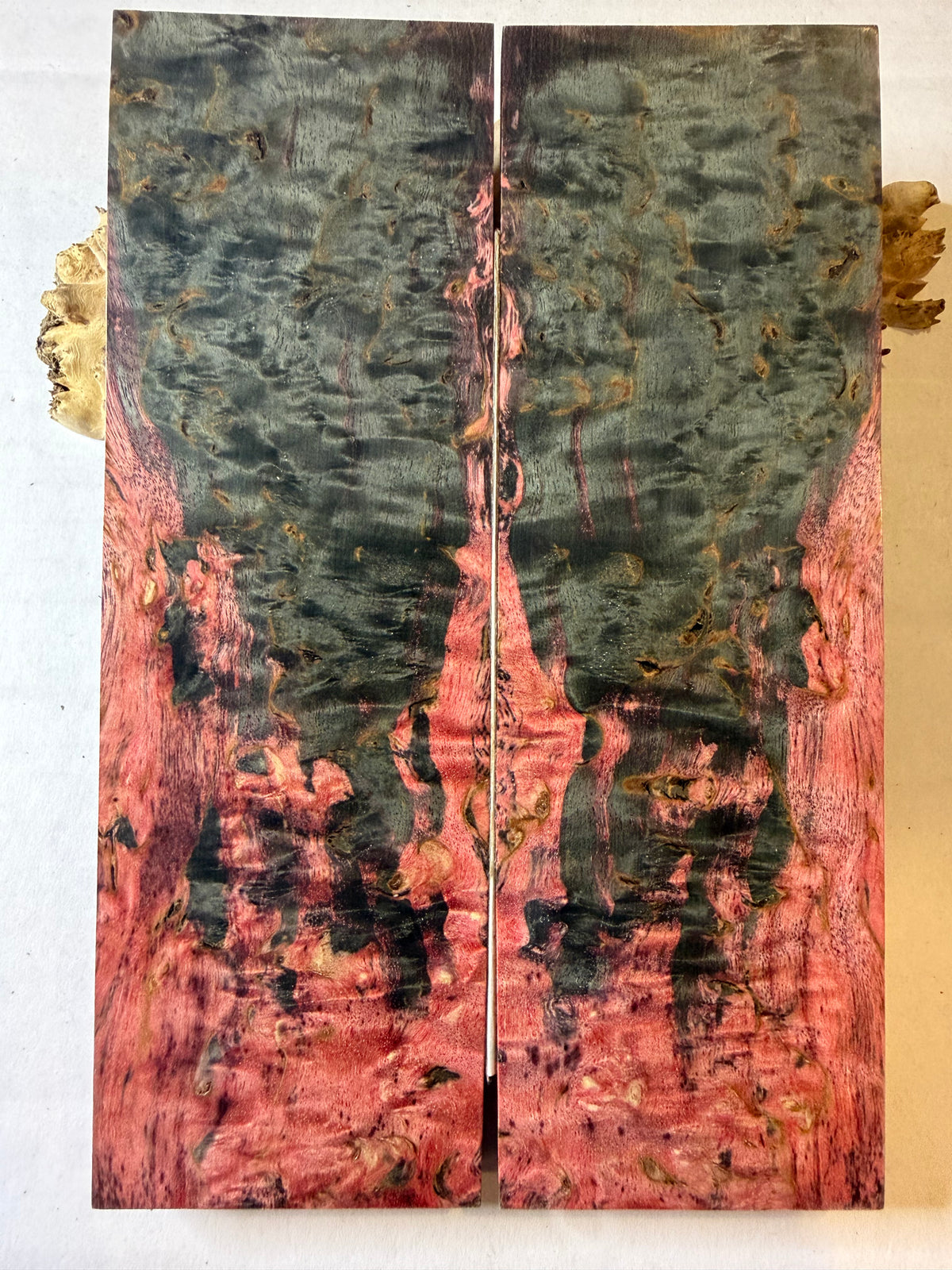 Karelian Birch | #0619