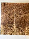 Redwood Burl | #0559