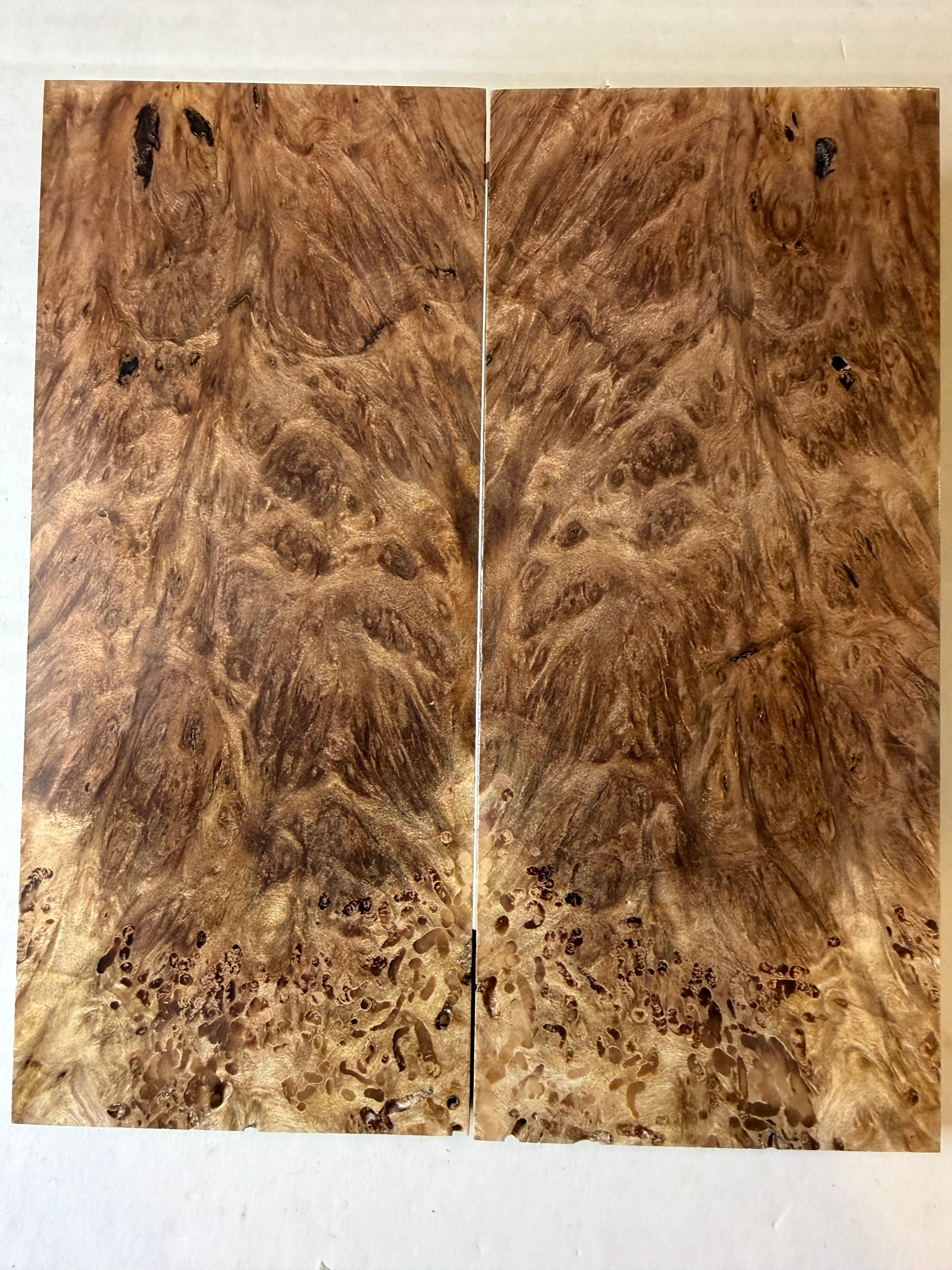 Redwood Burl | #0559