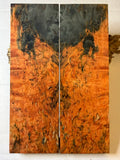 Karelian Birch | #0599