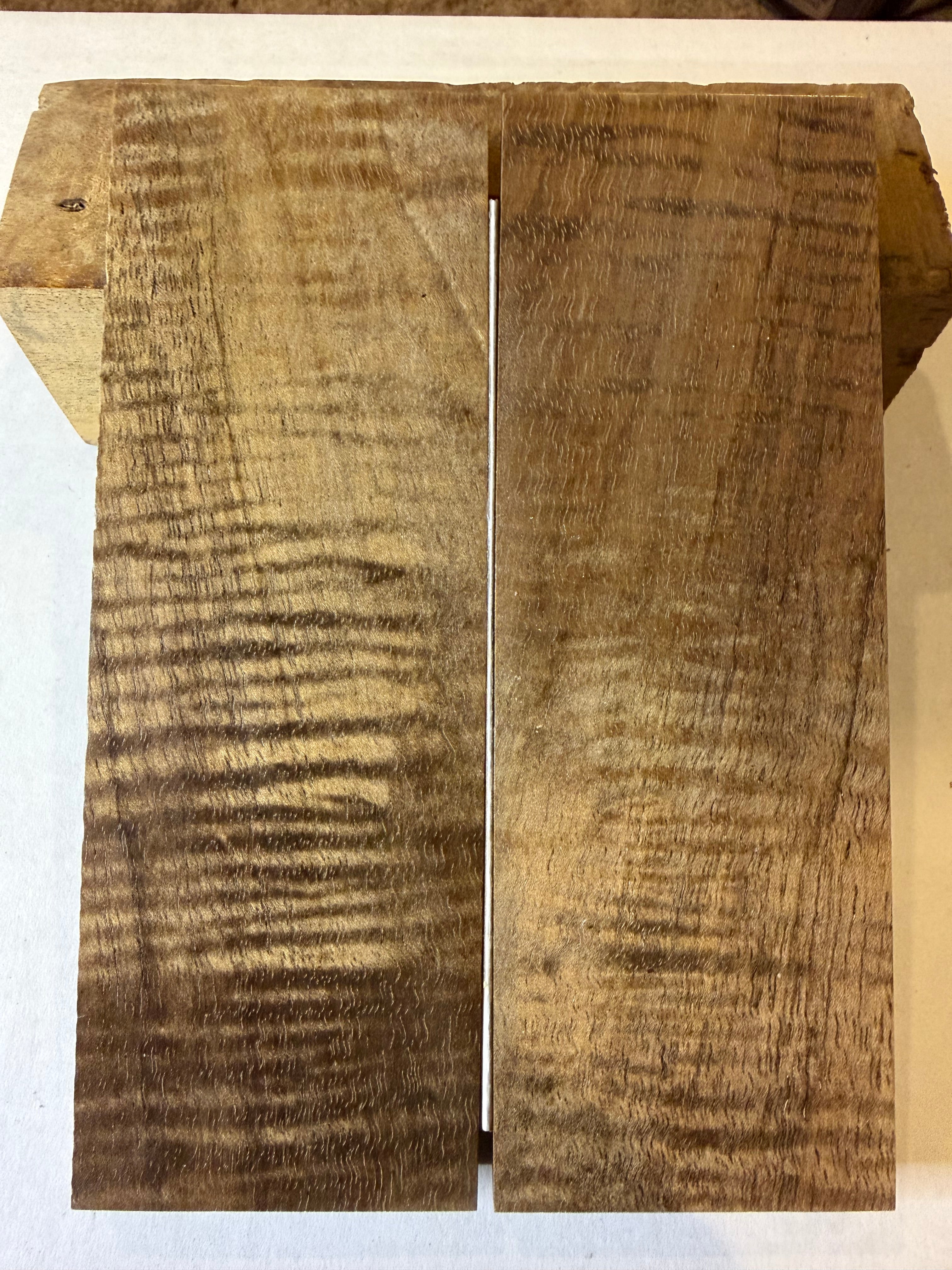 Koa | #0127