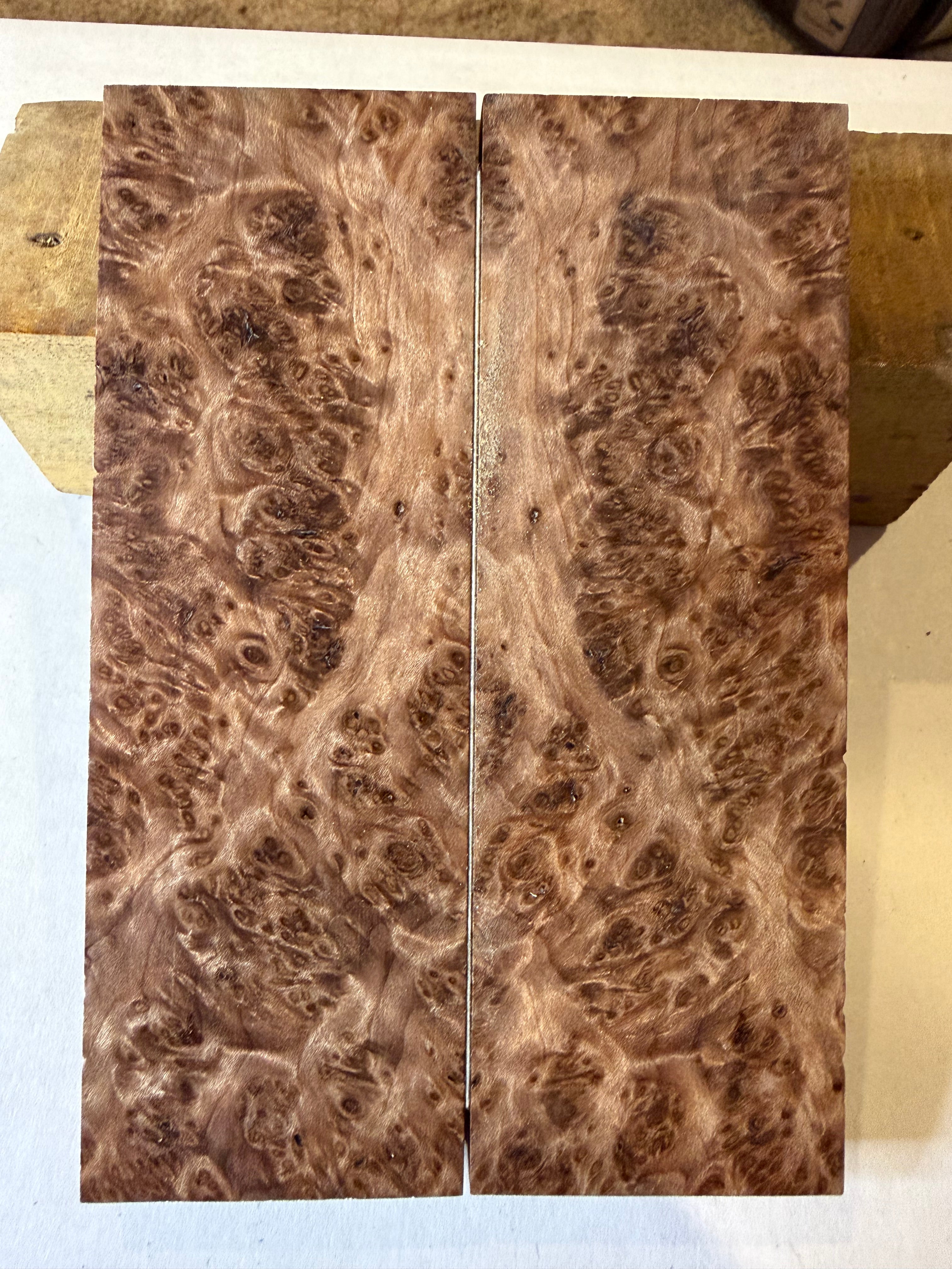Redwood Burl | #0118
