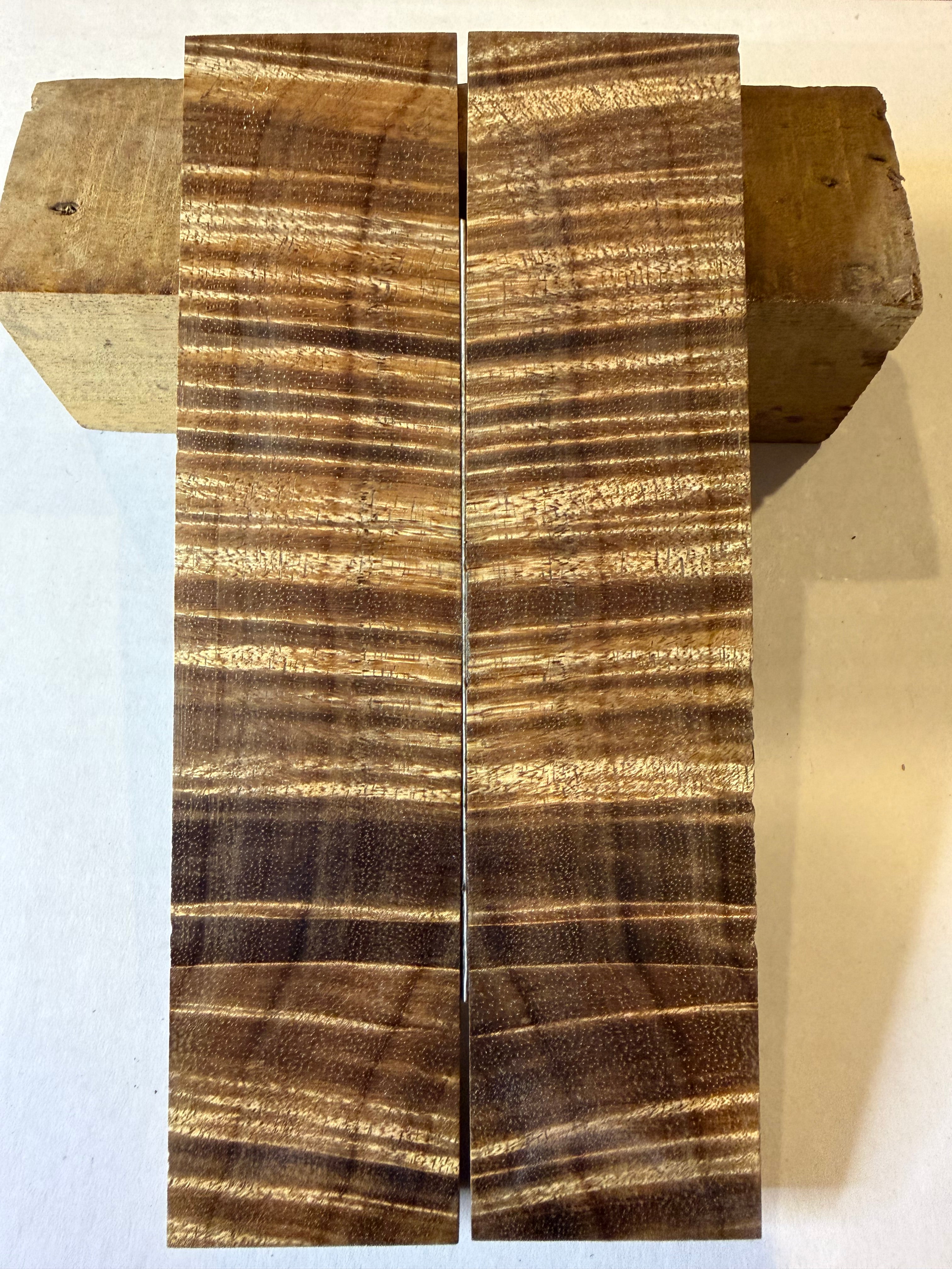Tasmanian Blackwood | #0117