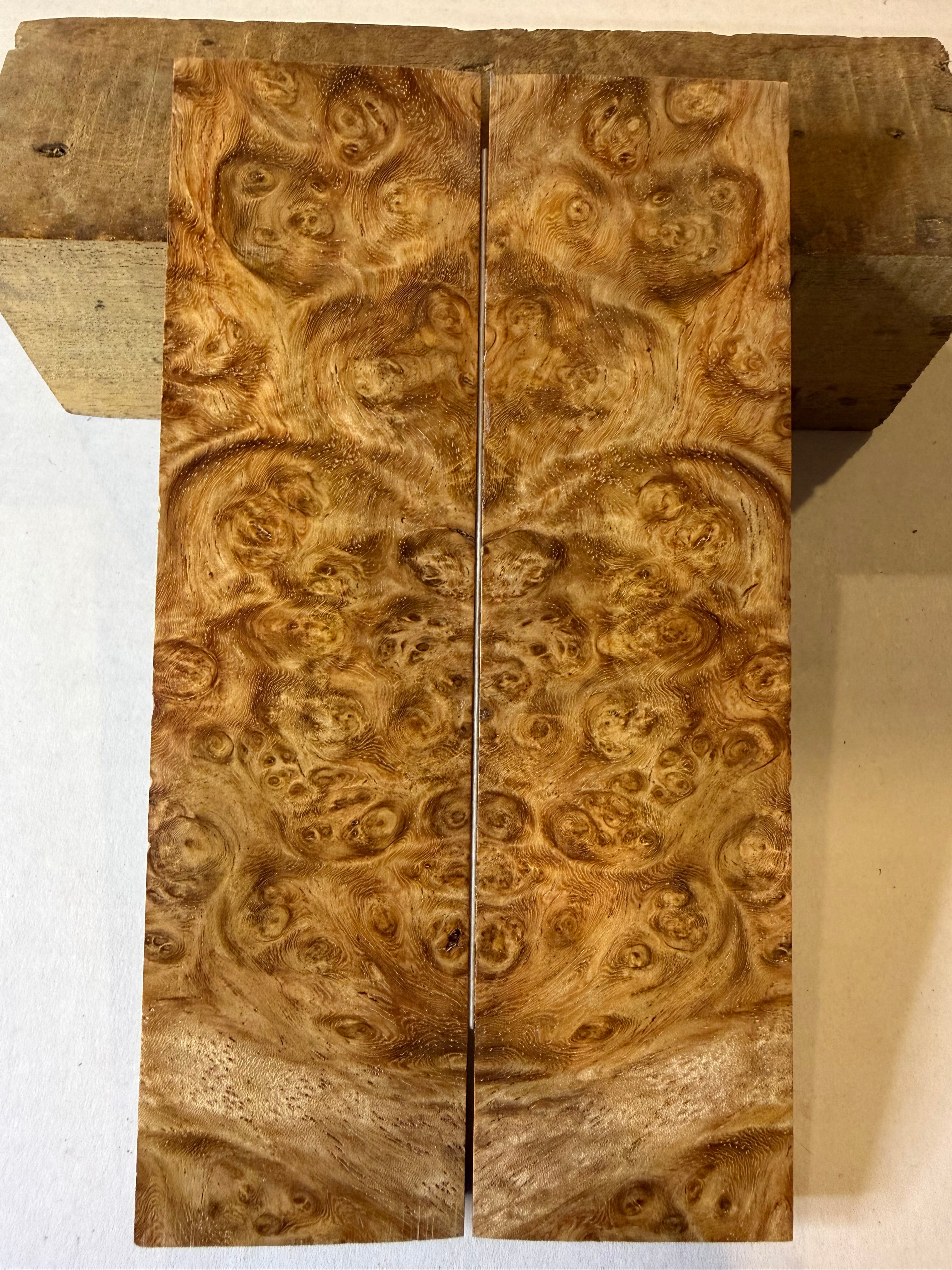 Ambonya Burl | #0123