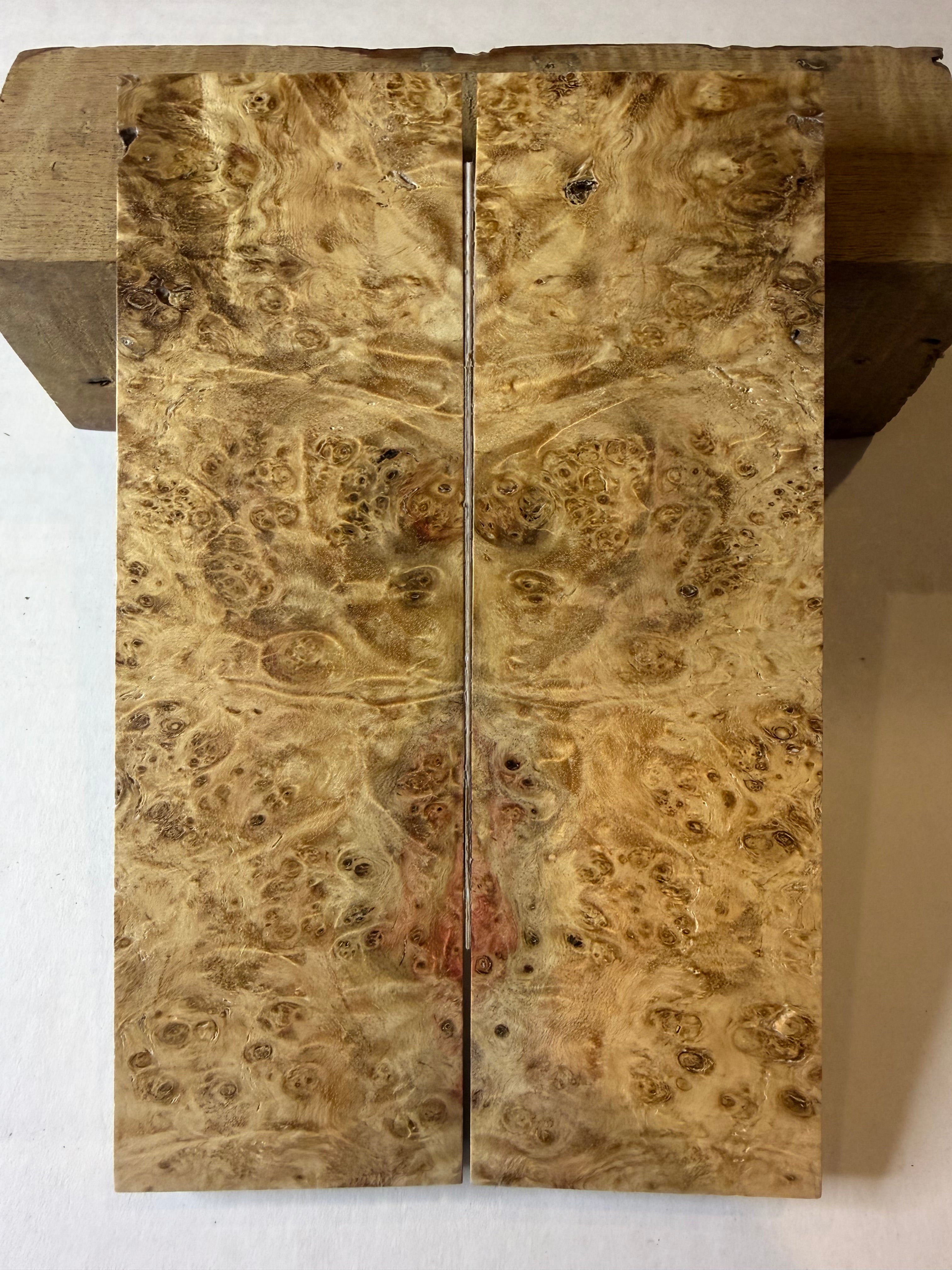 Boxelder Burl | #0166
