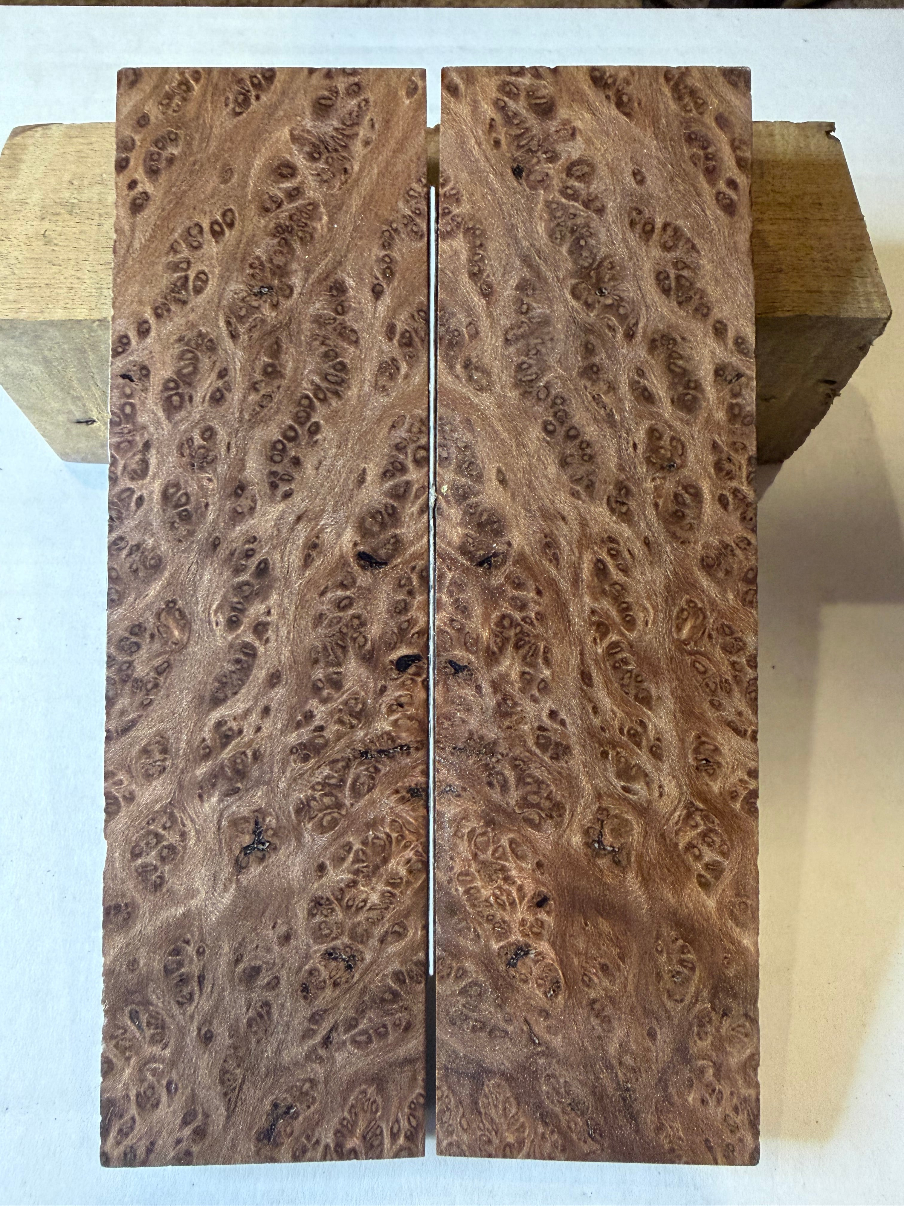 Redwood Burl | #0175