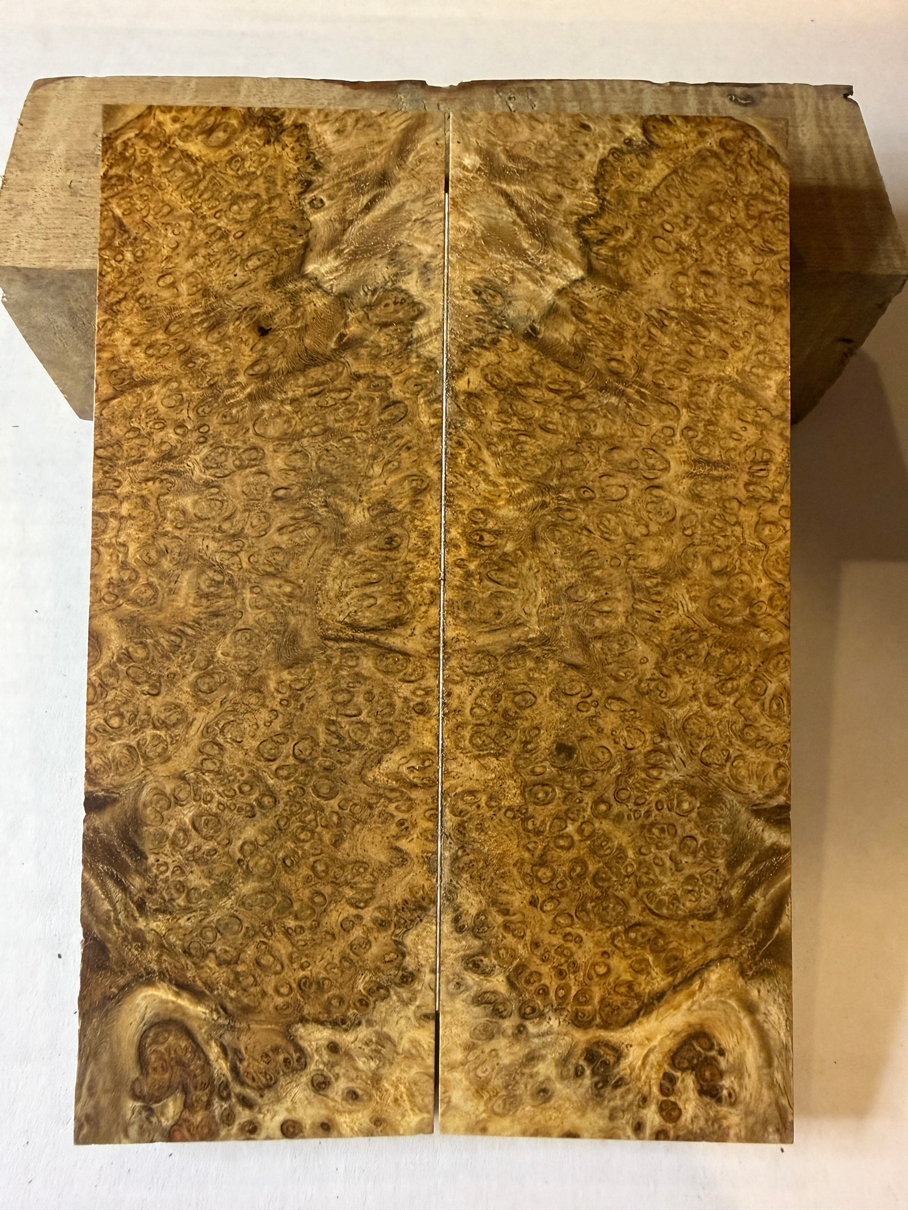 Ambonya Burl | #0169