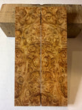 Ambonya Burl | #0138