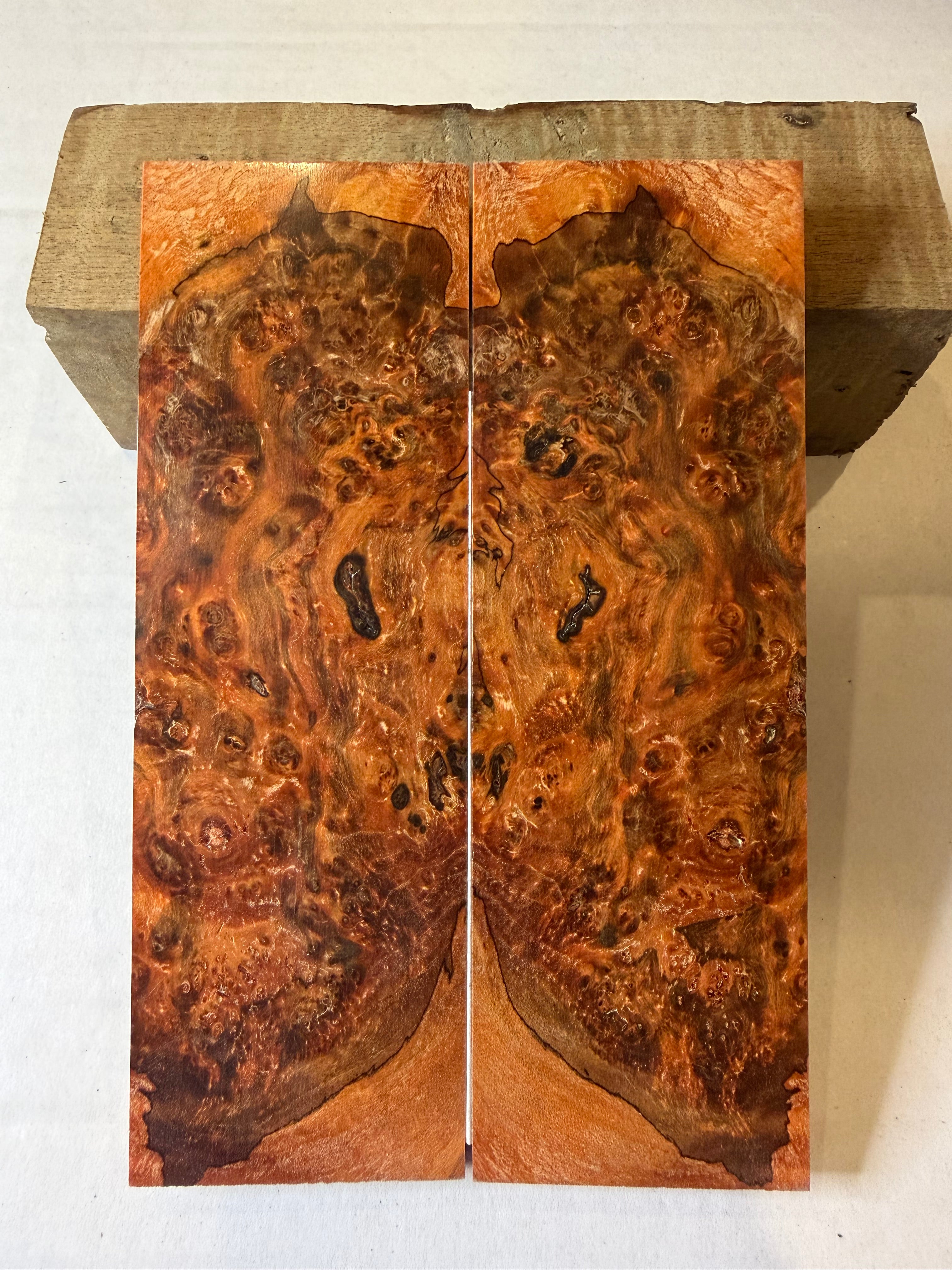 Birch Burl | #0146