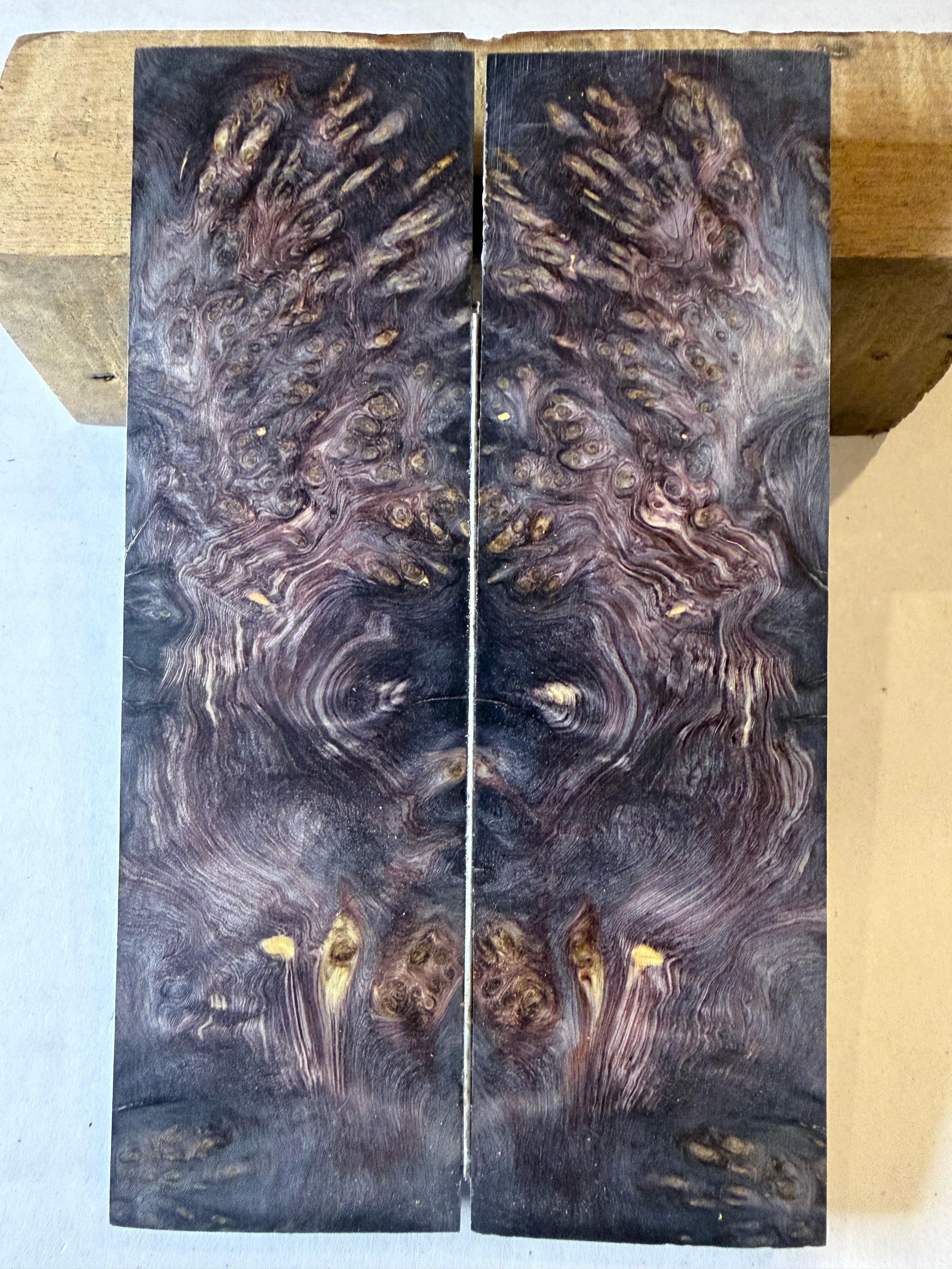 Yellow Cedar Burl | #1041