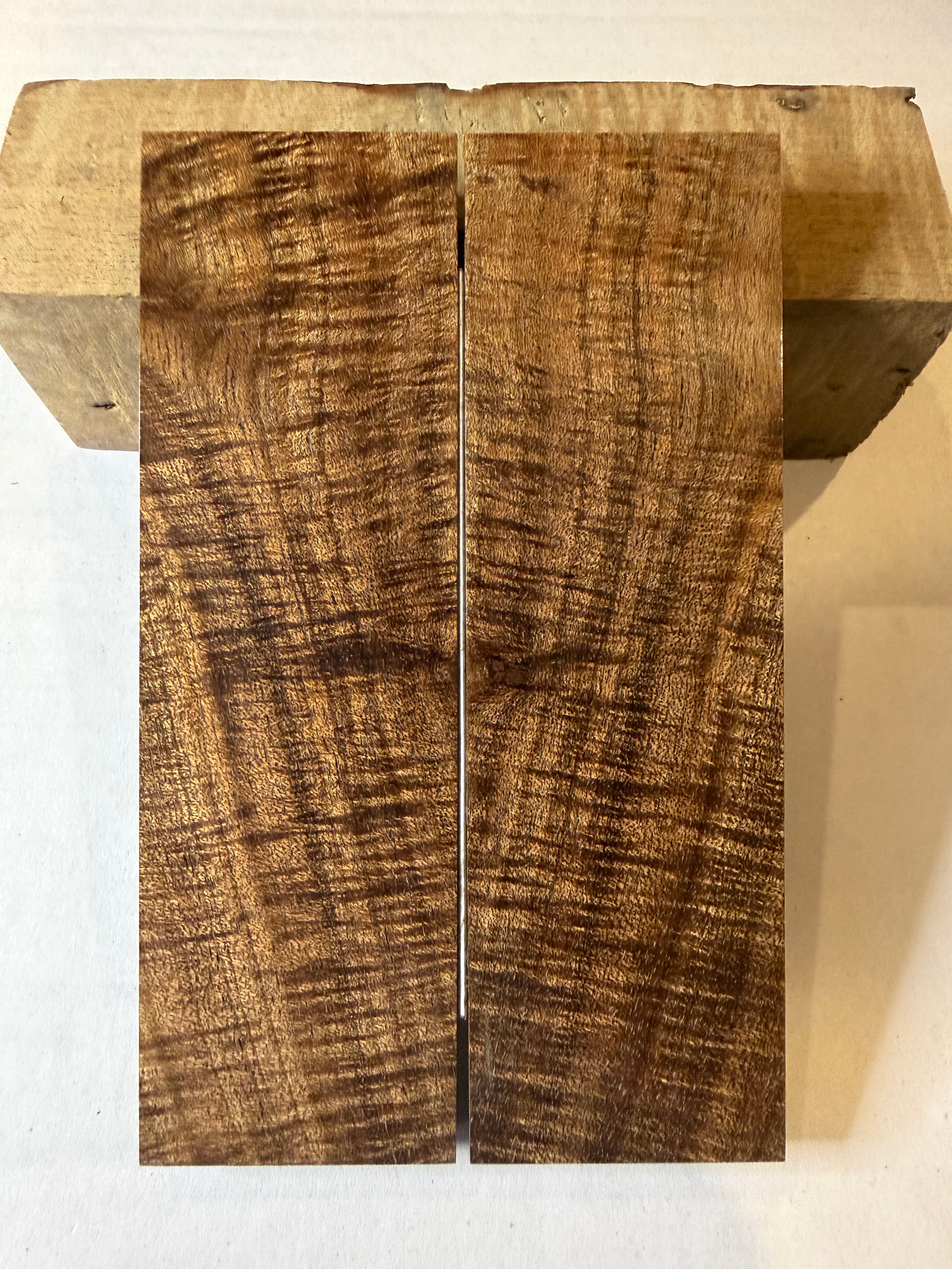 Tasmanian Blackwood | #0140