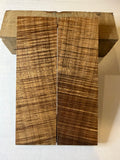 Tasmanian Blackwood | #0144