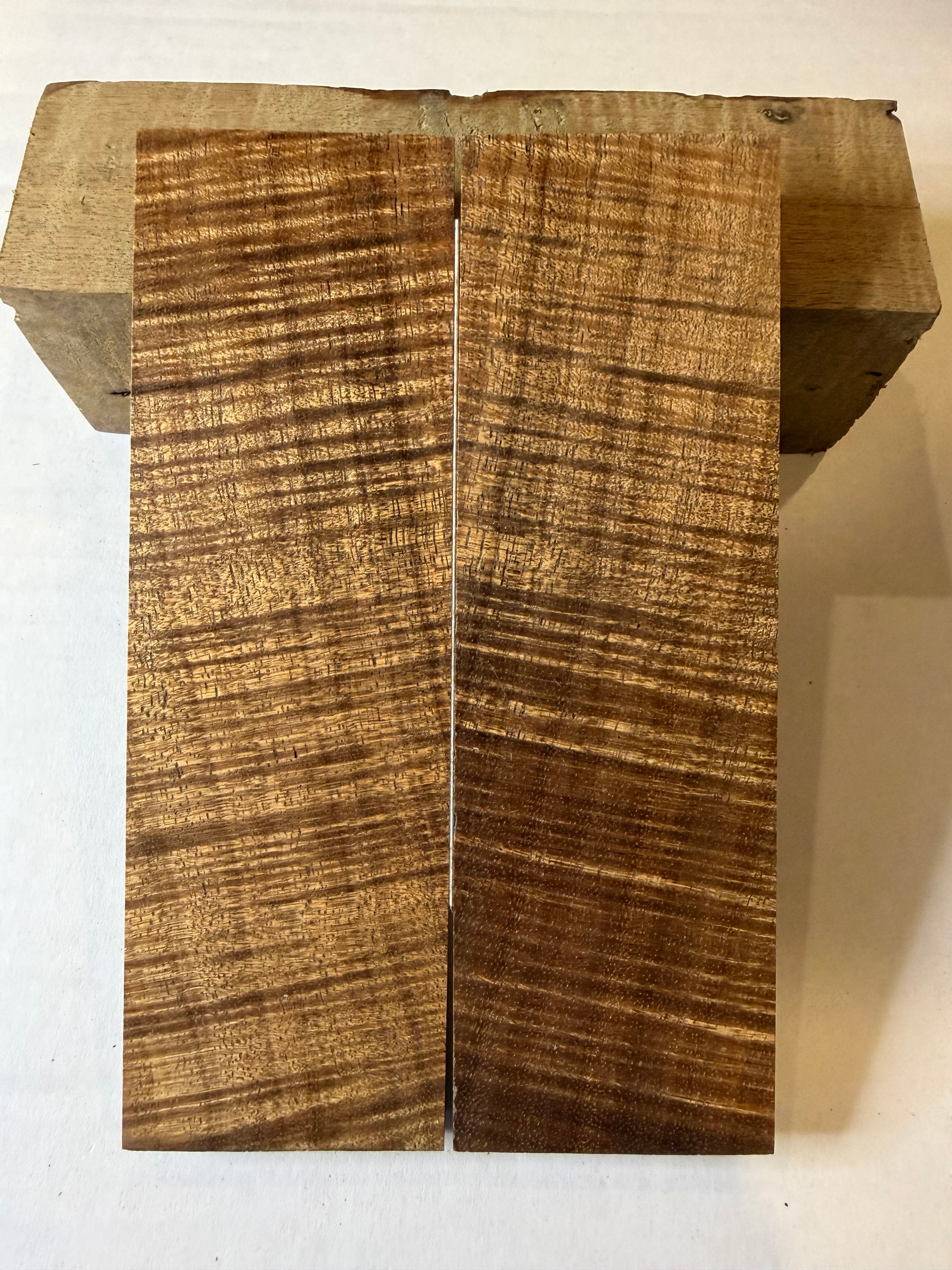Tasmanian Blackwood | #0144