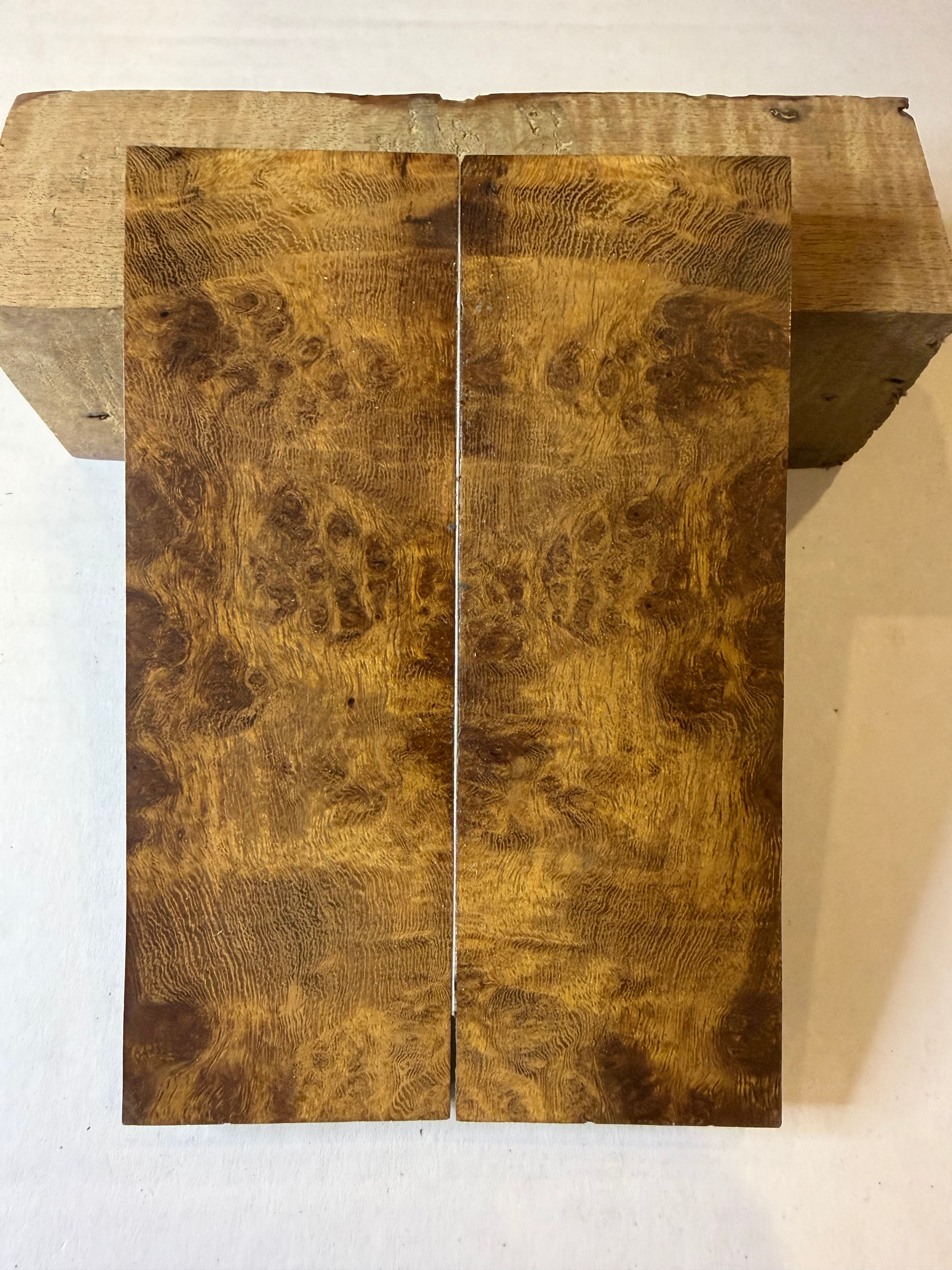 Ironwood Burl | #0130