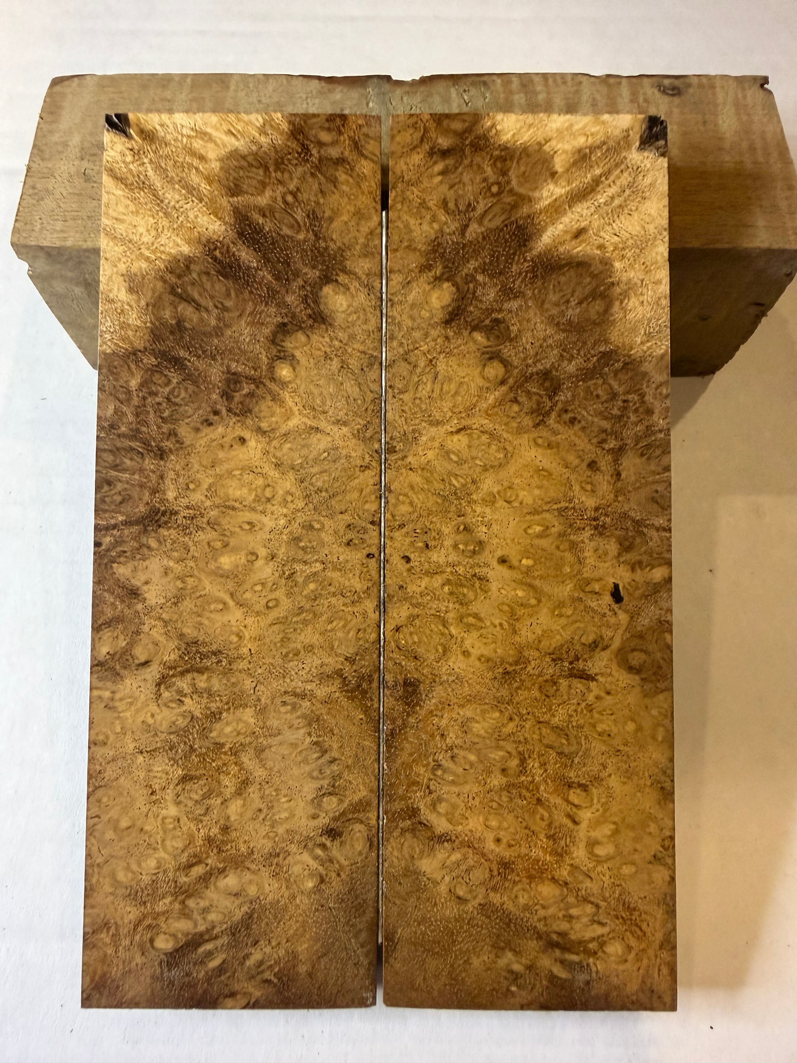 River Tamarind Burl | #0128